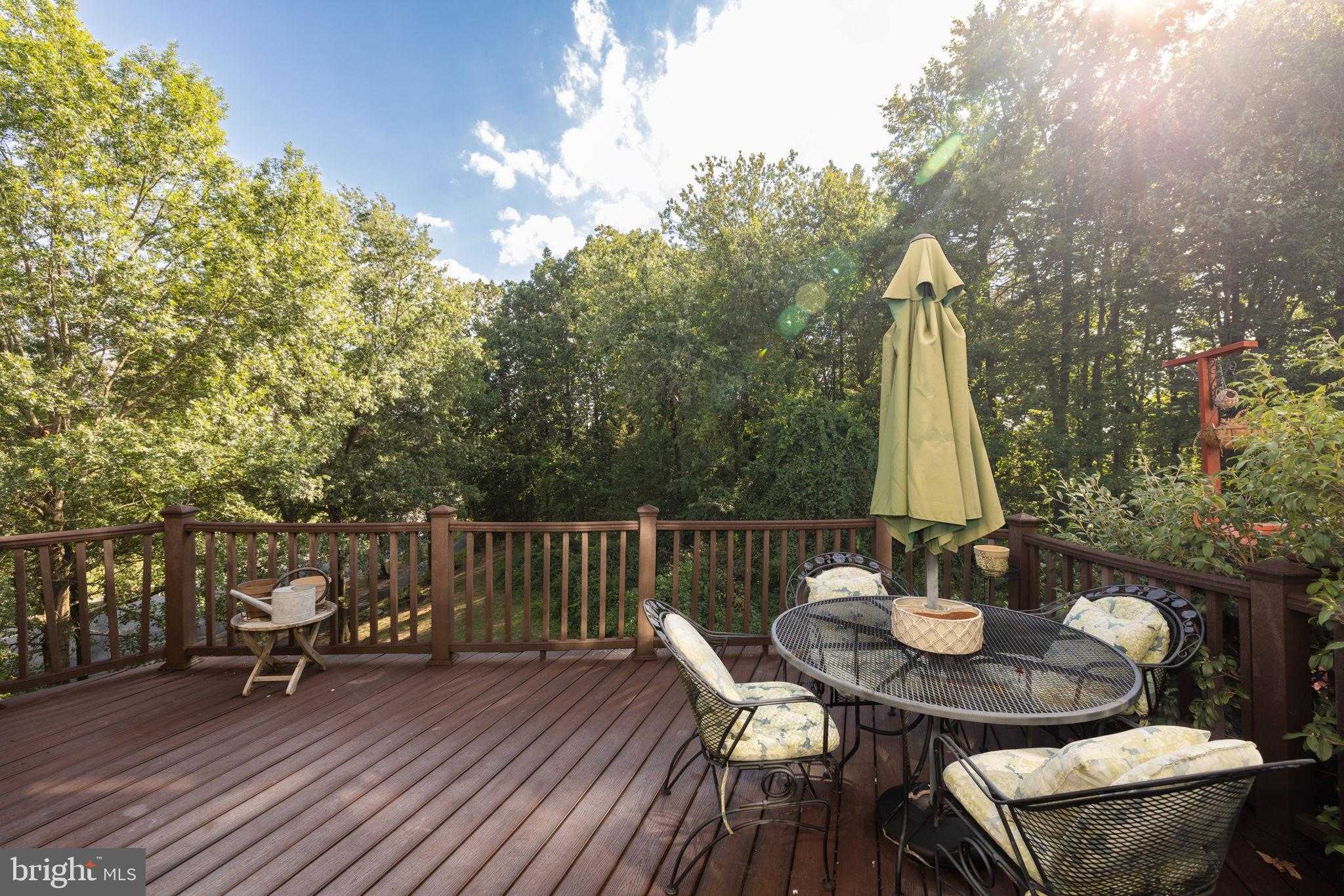 7826 Desiree St photo 29