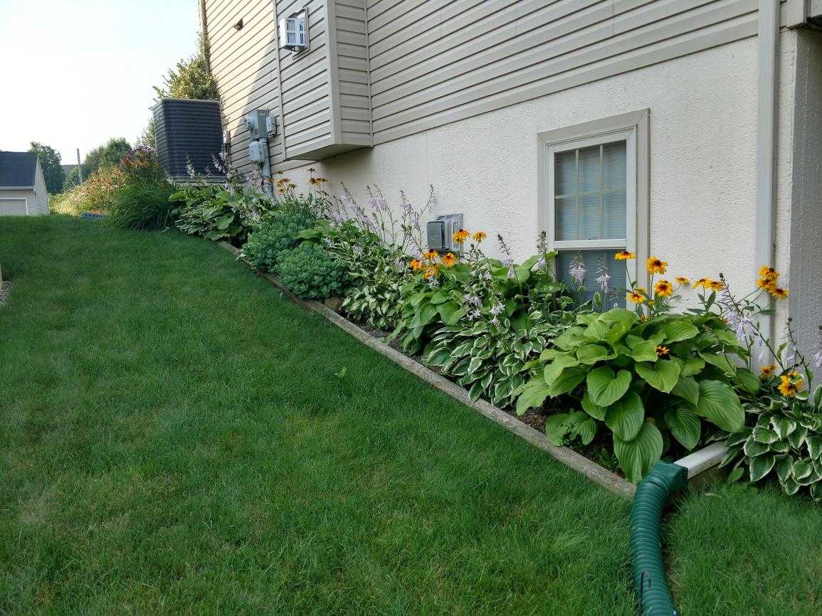 47 Dawkins Dr photo 63