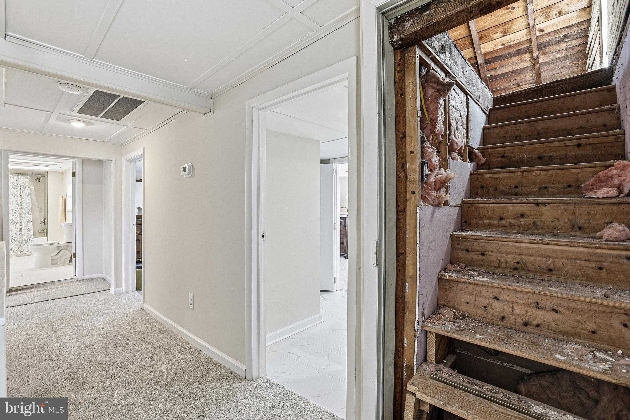 31 Bancroft Ave photo 33