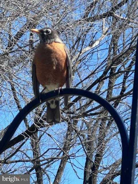 724 E Curtin St photo 66