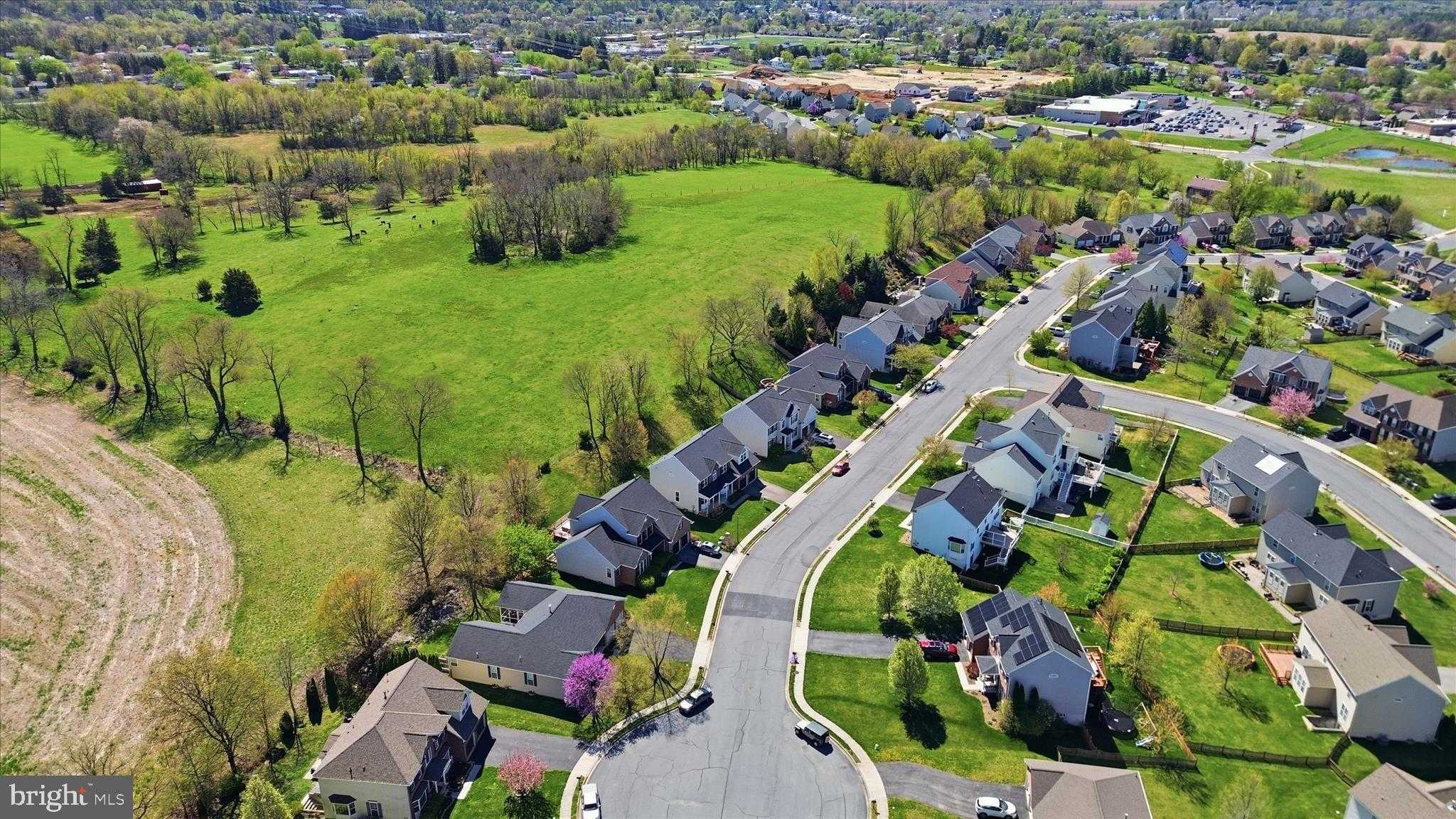 305 TIGER WAY photo 74