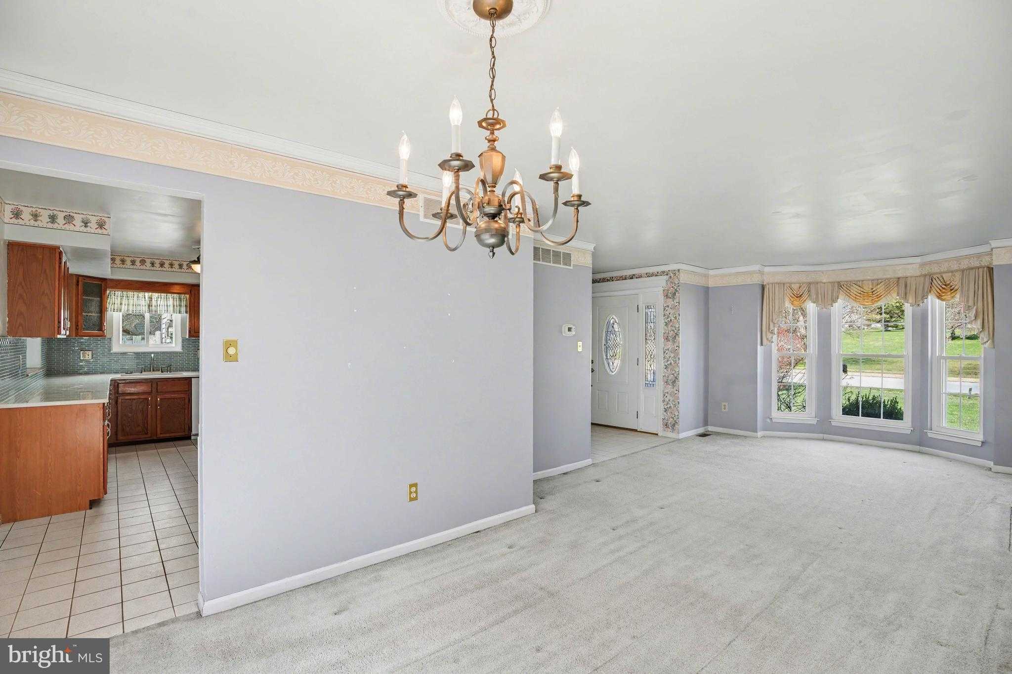 117 Elio Cir photo 16