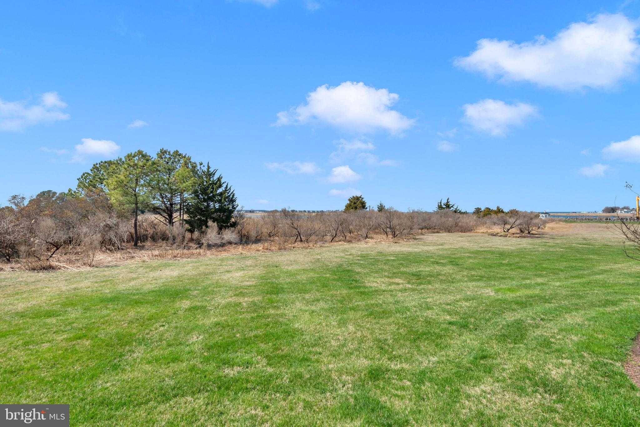 114 Bayview photo 49