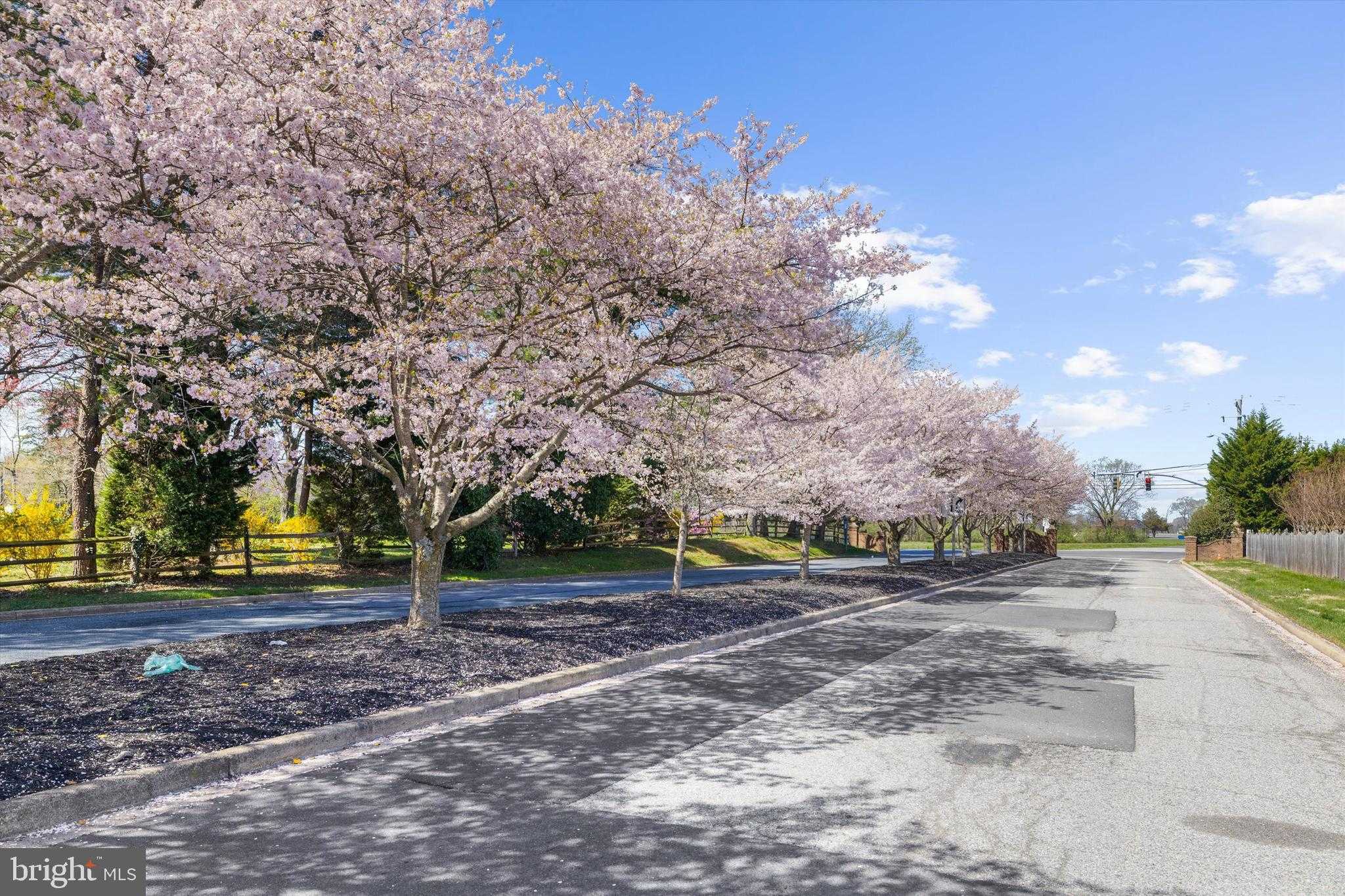 108 Meadowcroft Dr photo 74