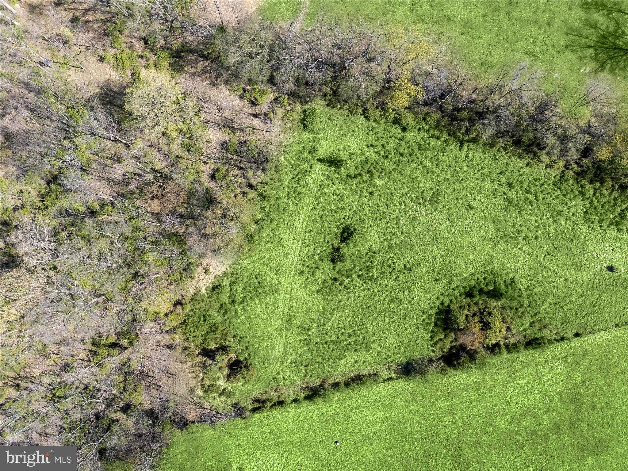 8031 Sharpsburg Pike photo 81