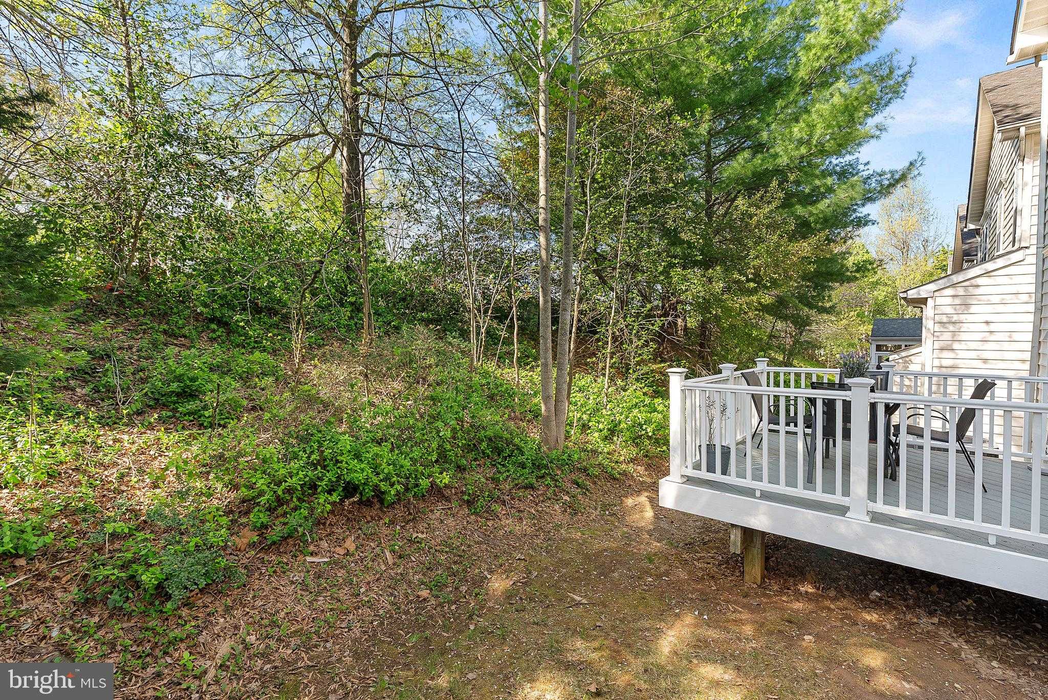 7677 Henry Knox Dr photo 61