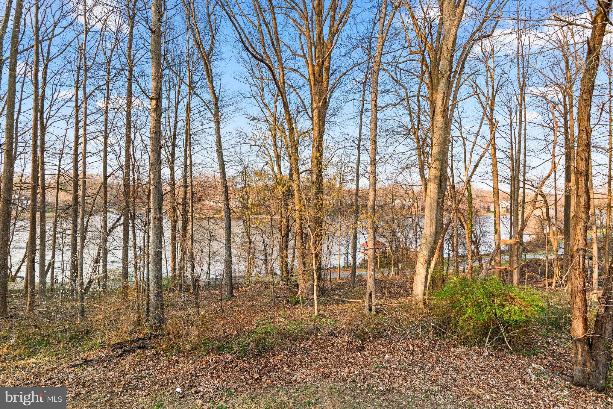 7254 Riding Hood Cir photo 29