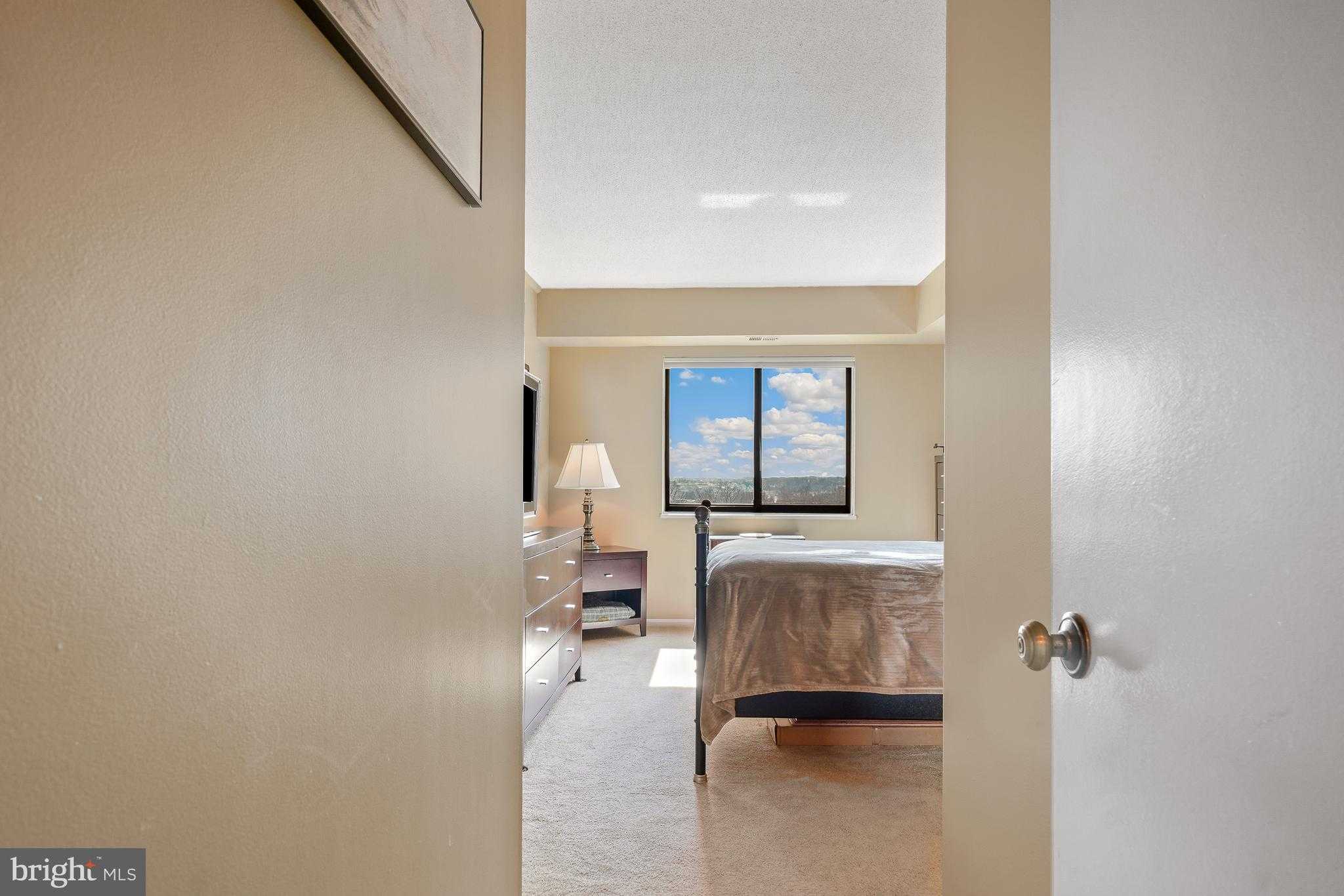 5901 Mount Eagle Dr Apt 1105 photo 25