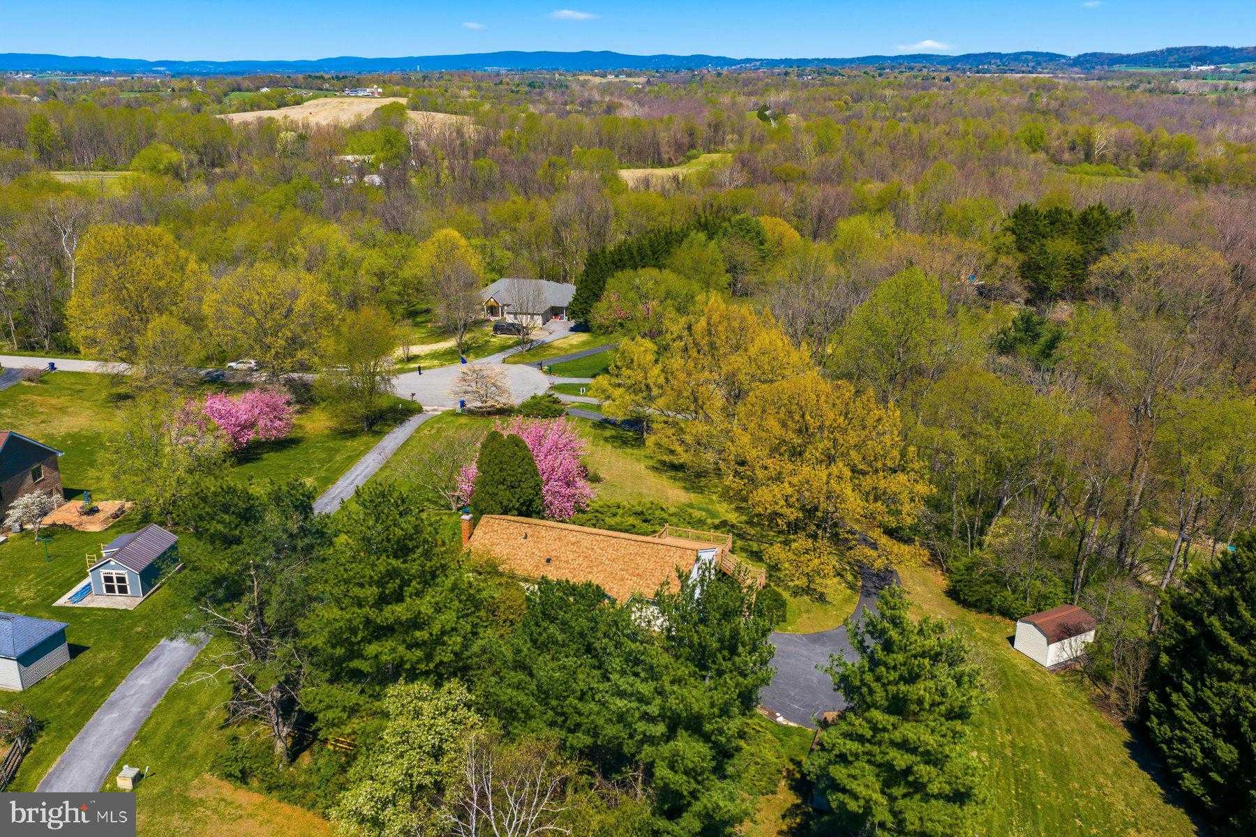 2713 Jay Bird CT photo 46