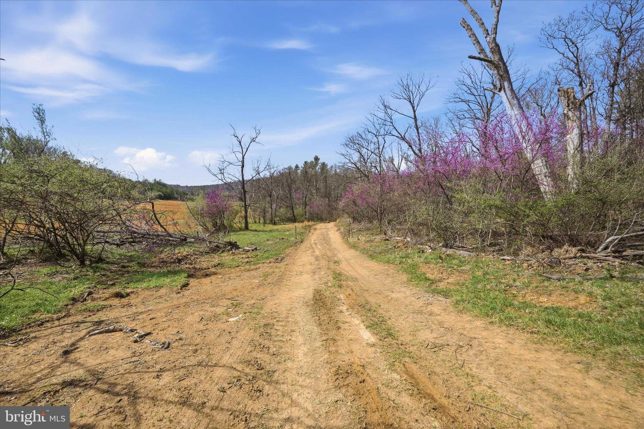 1112 Stony Hill Rd photo 14