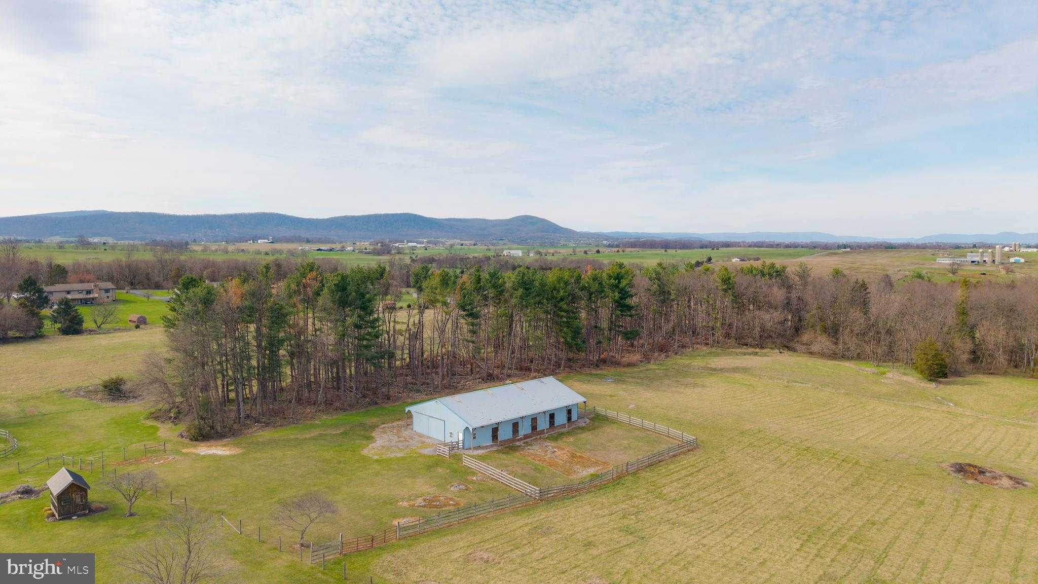 13039 Spickler Rd photo 59