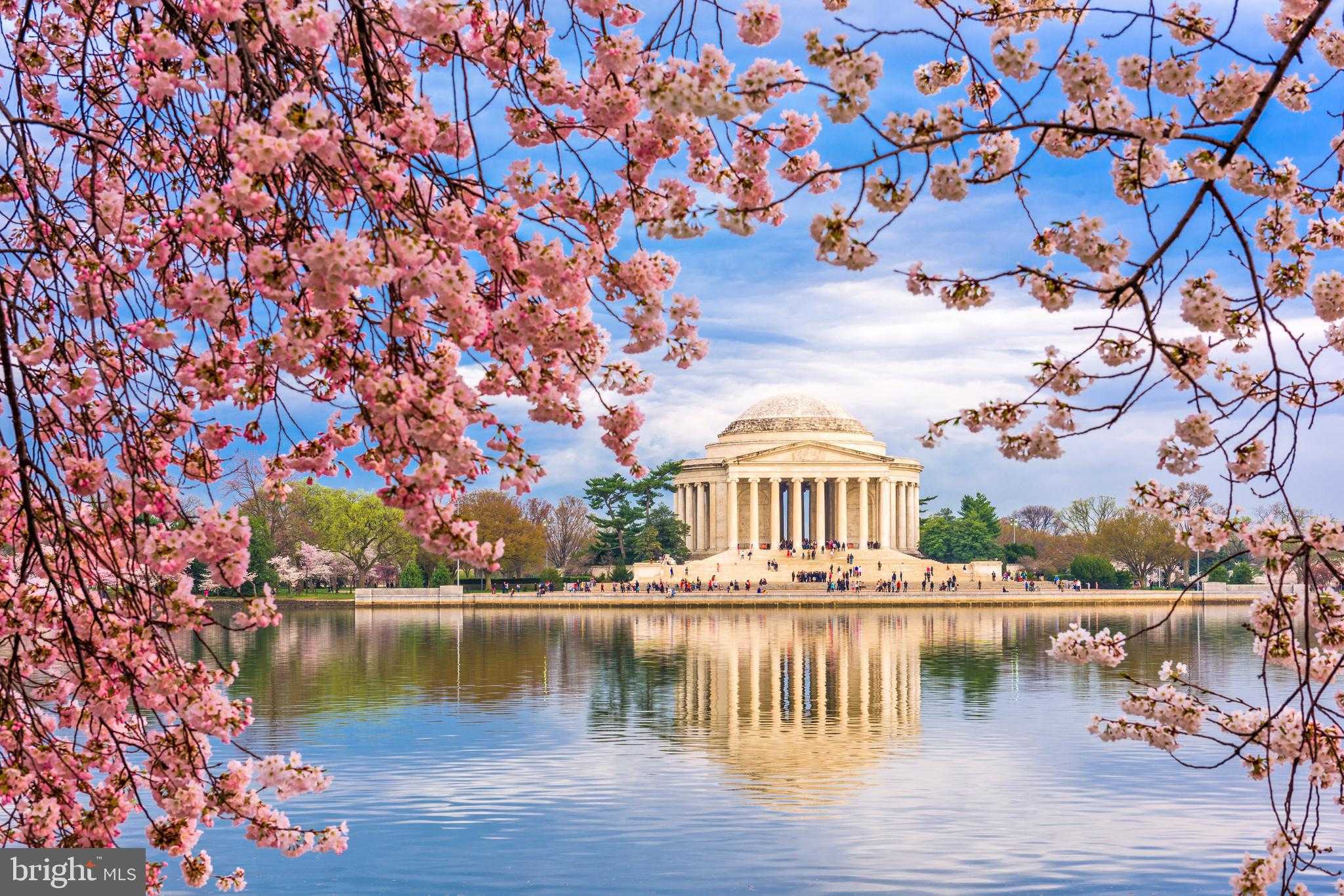 3177 Patuxent River Rd photo 46