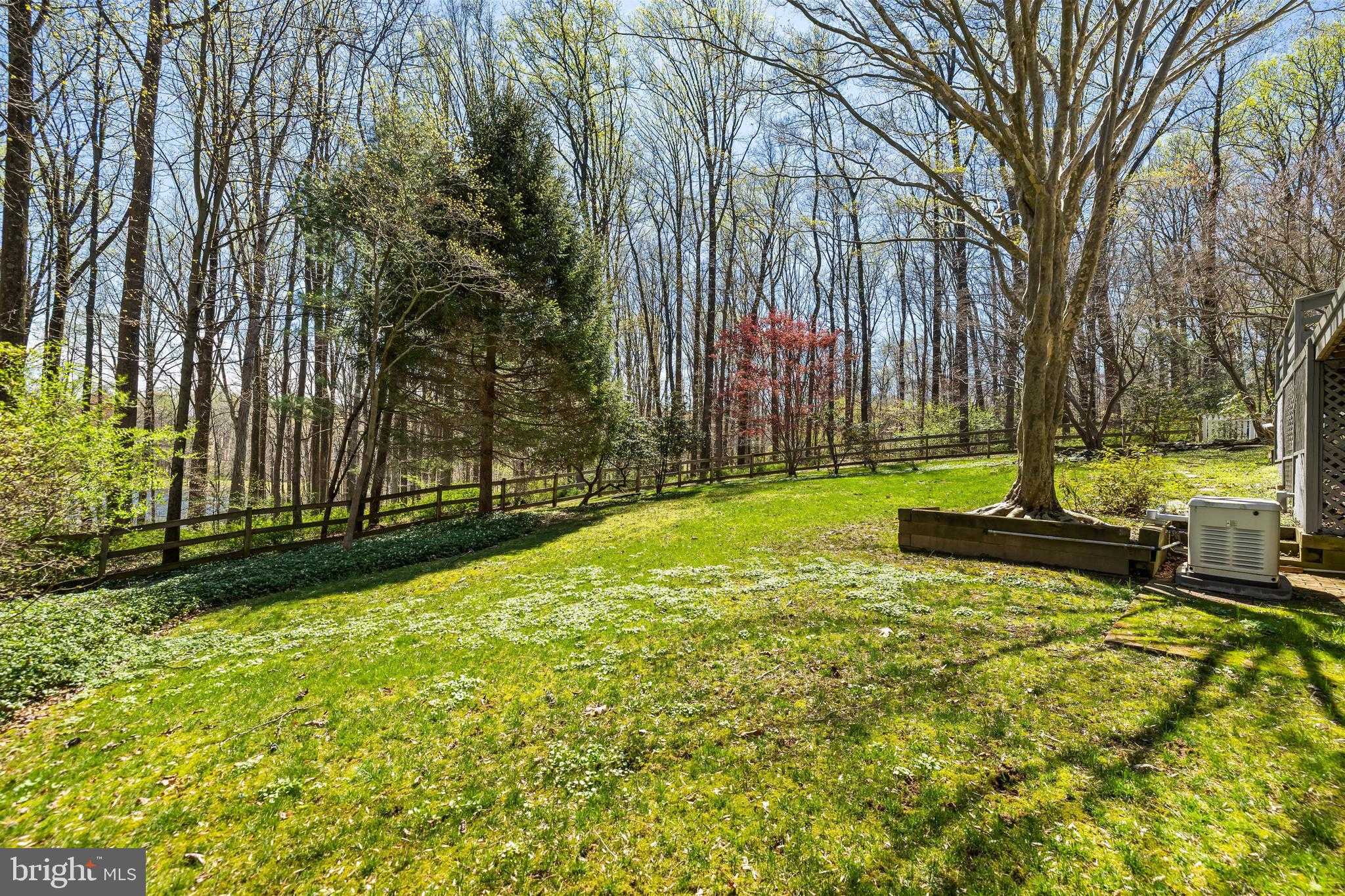 901 Chestnut Ridge Dr photo 97