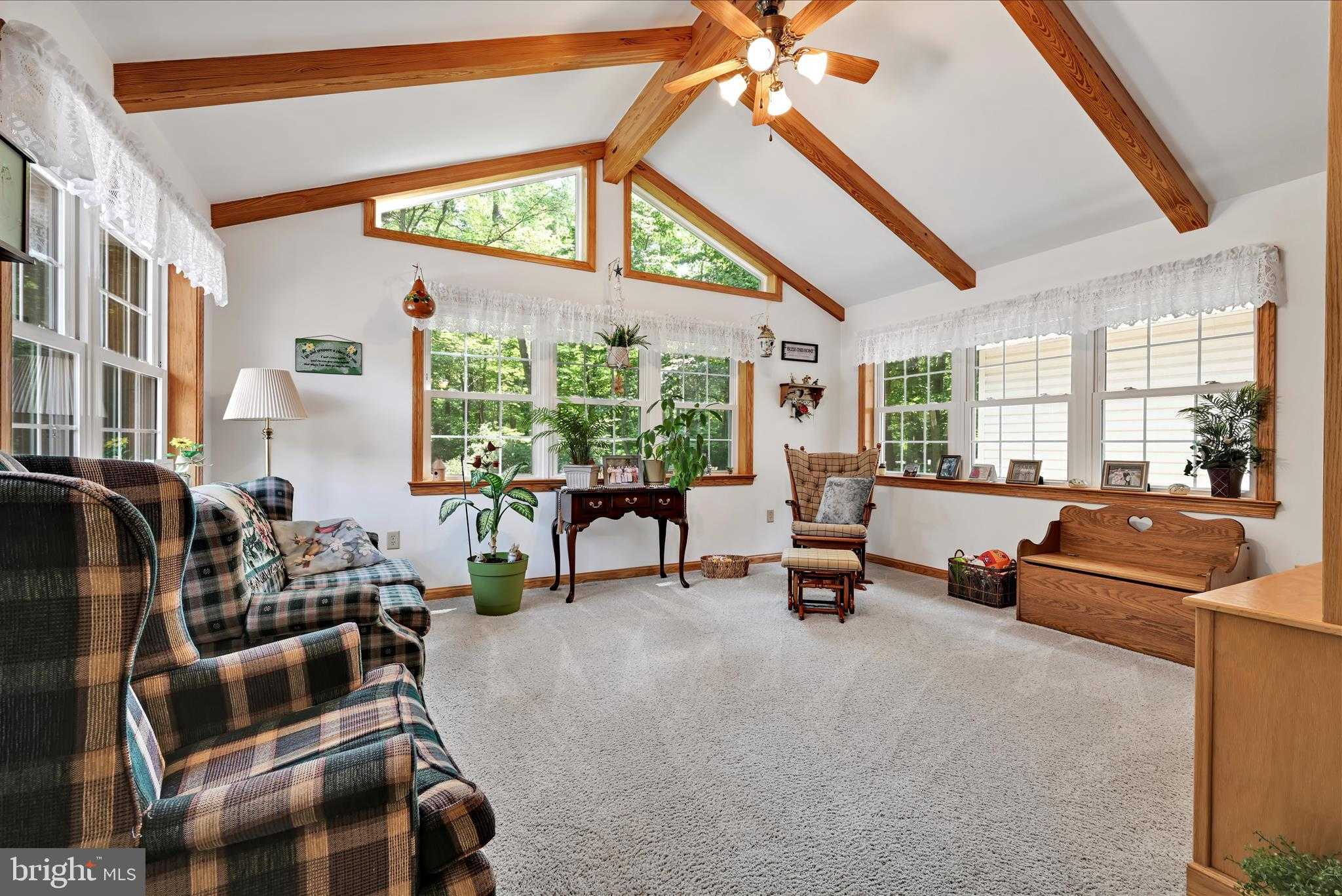 569 Texter Mountain Rd photo 19