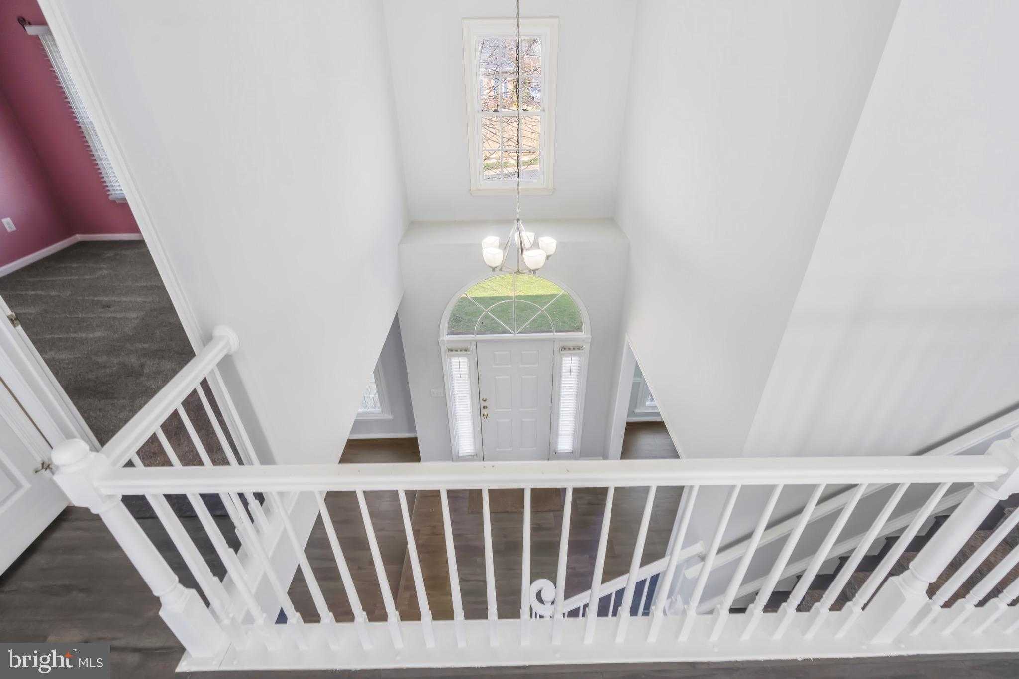 21143 Mayapple Pl photo 22