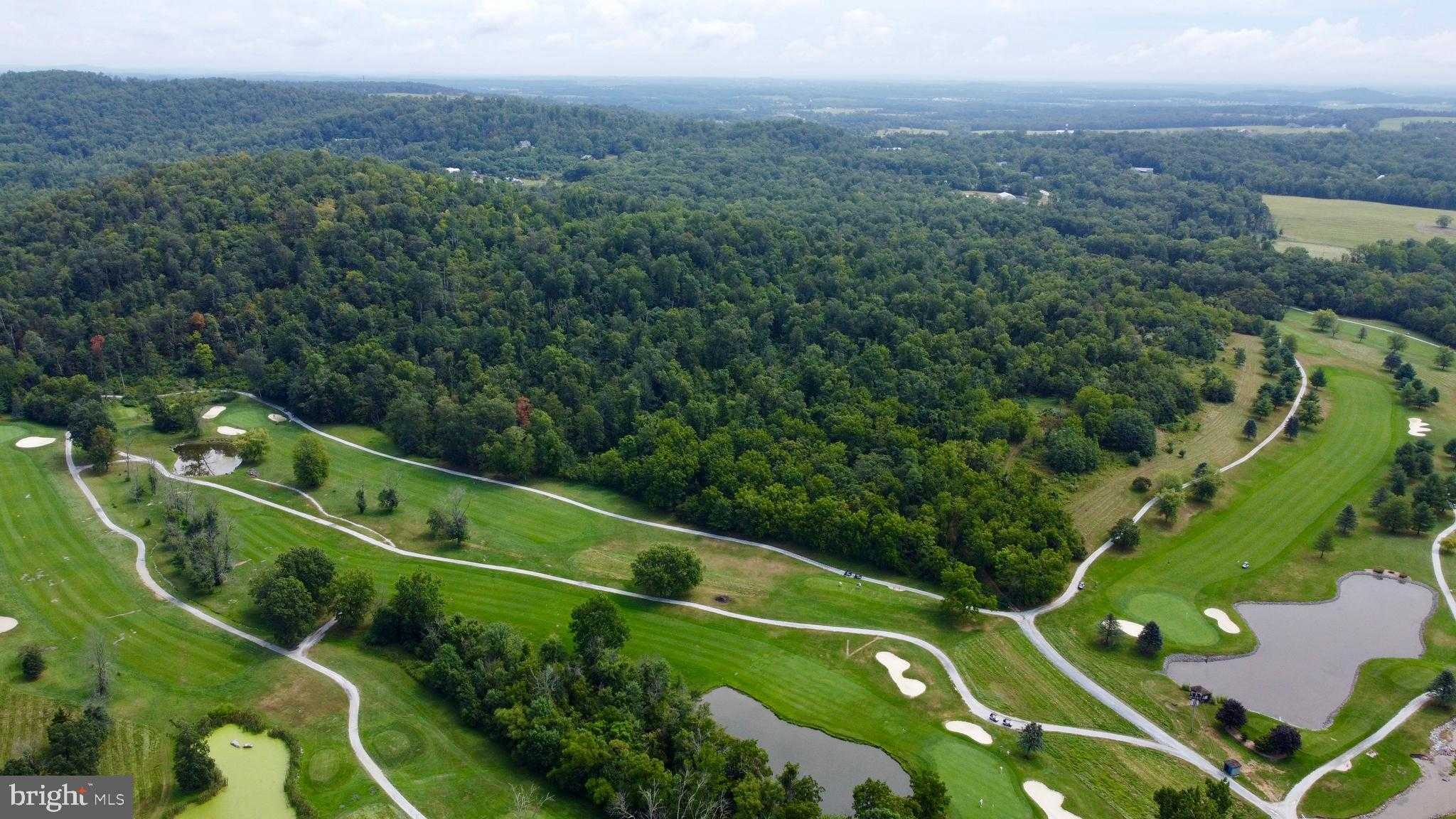 4099 Bullfrog Rd photo 11