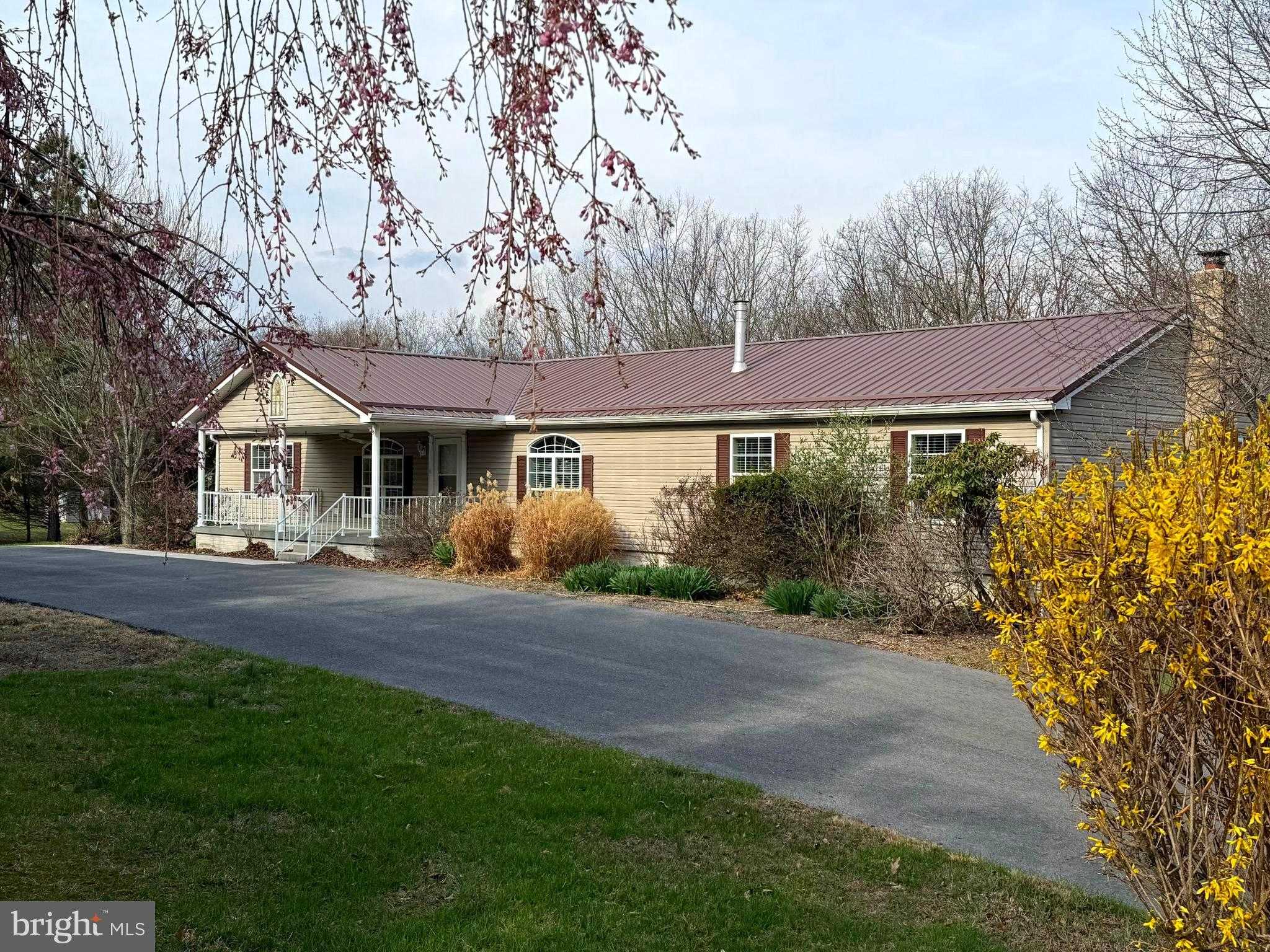 401 Nighthawk Dr photo 4