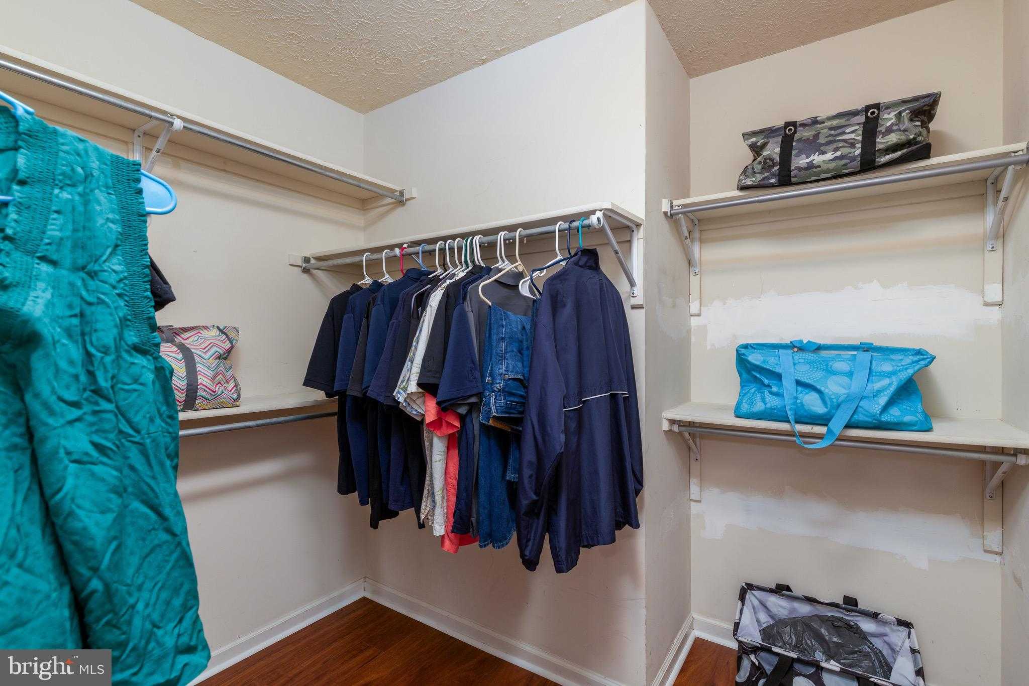 10910 Cinnamon Teal Dr photo 22