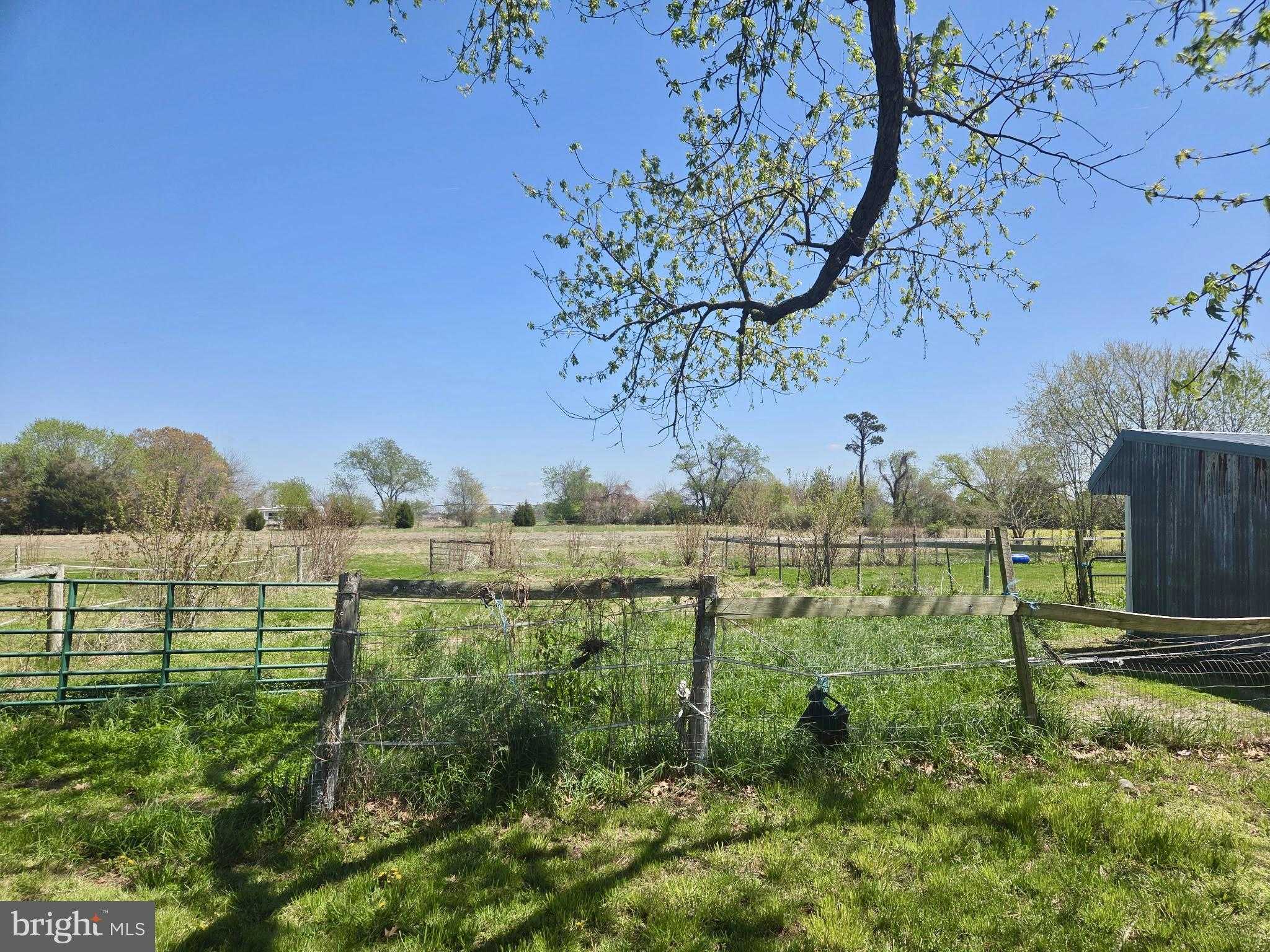 5125 Rhodesdale Vienna Rd photo 42