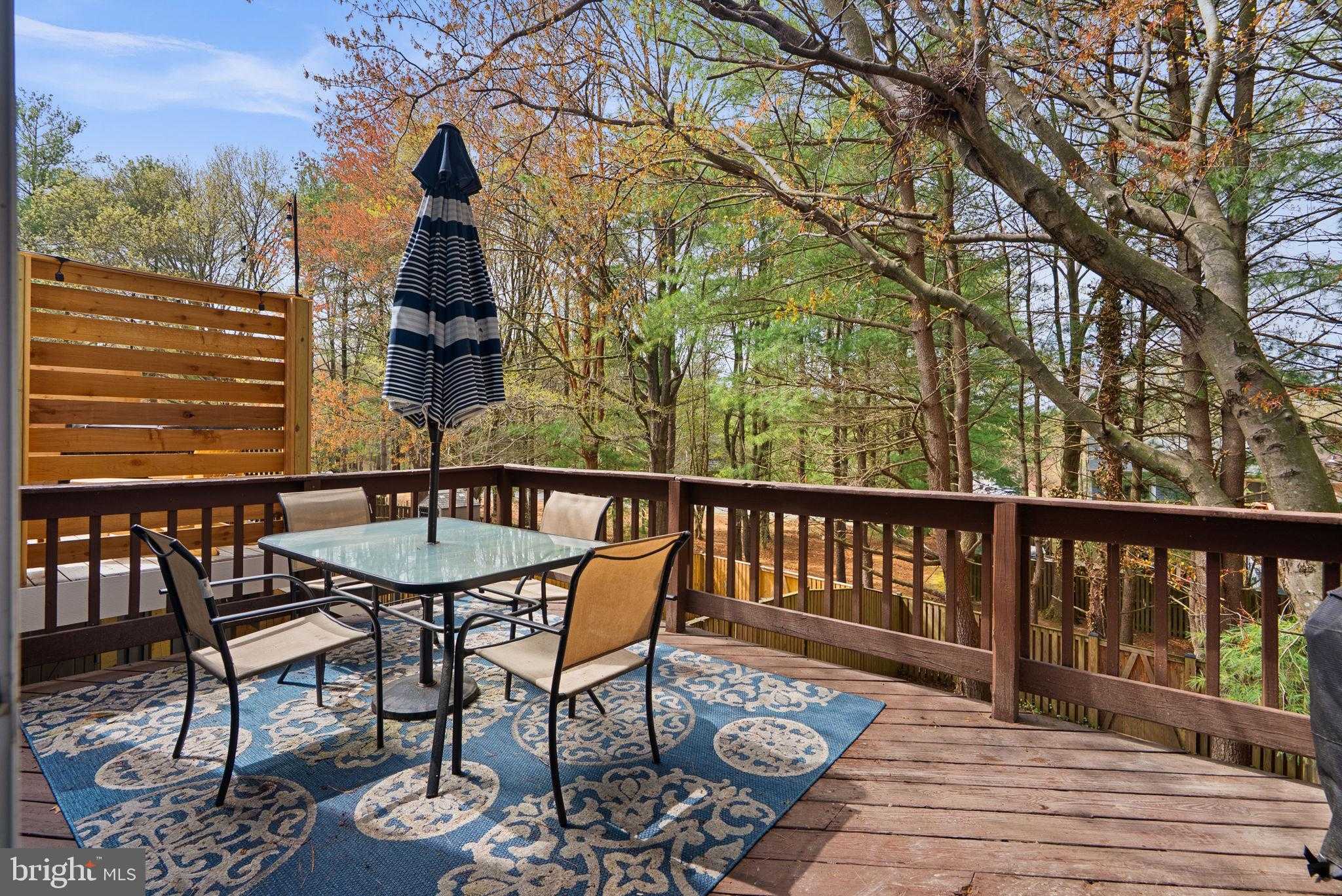 1176 White Coral CT photo 39