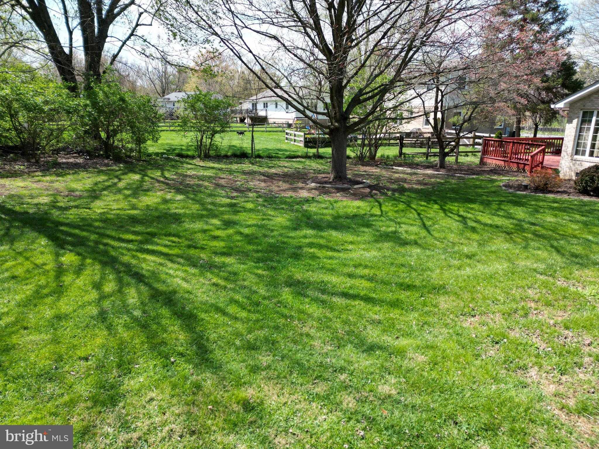 8121 Runnymeade Dr photo 48