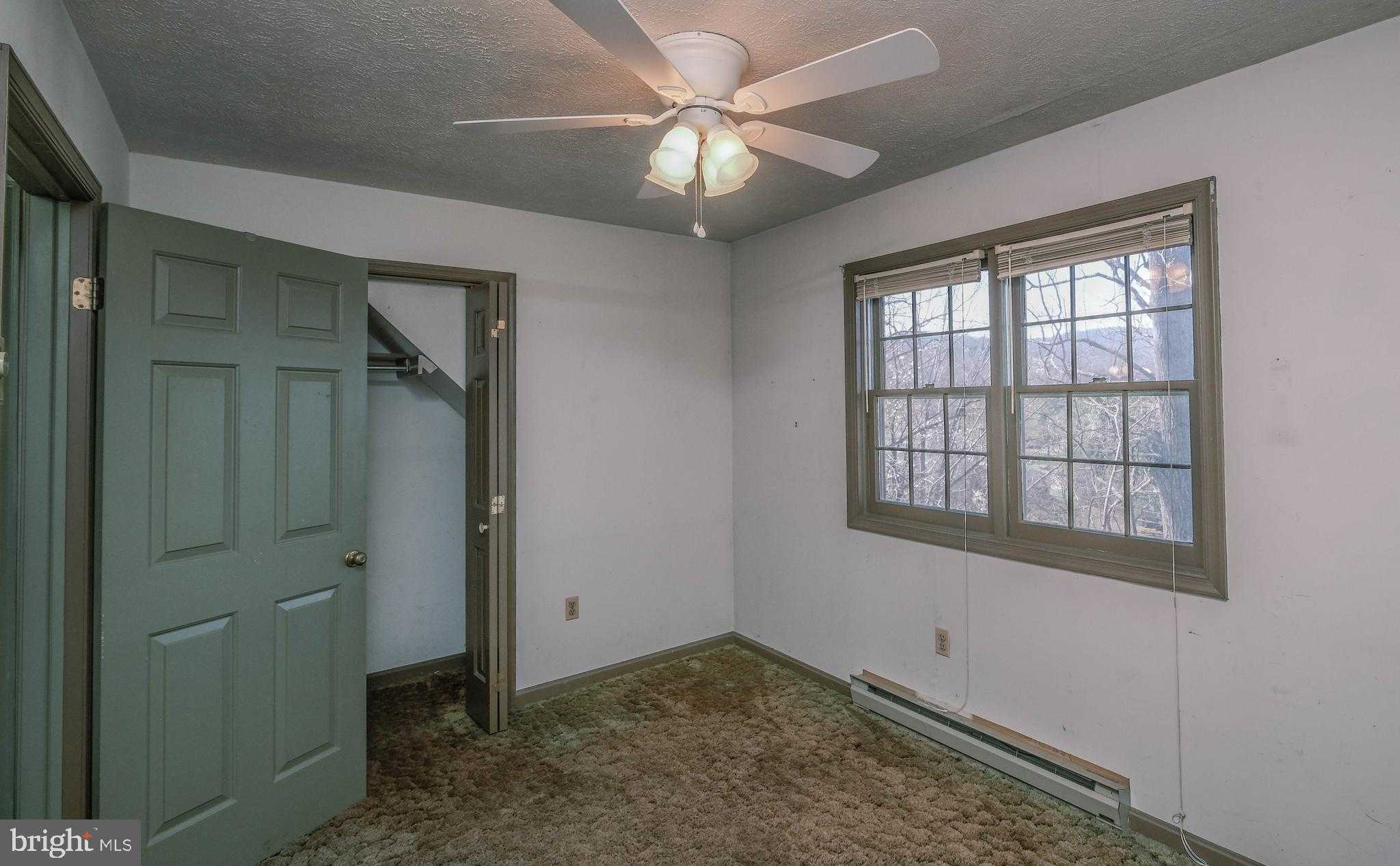 107 Richmond Rd photo 45