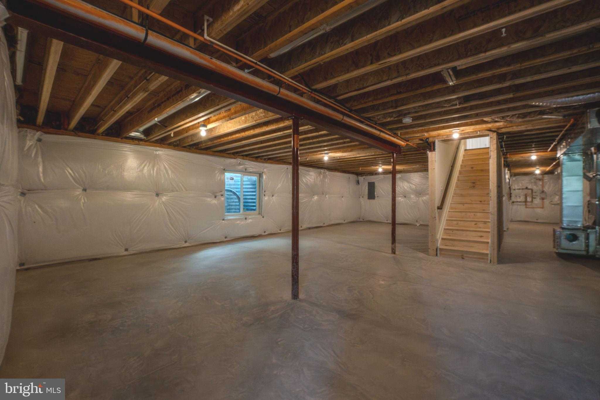 1712 Botanical CT photo 44