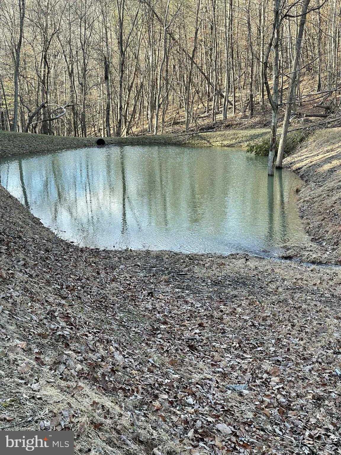 Graces Cabin Rd photo 57