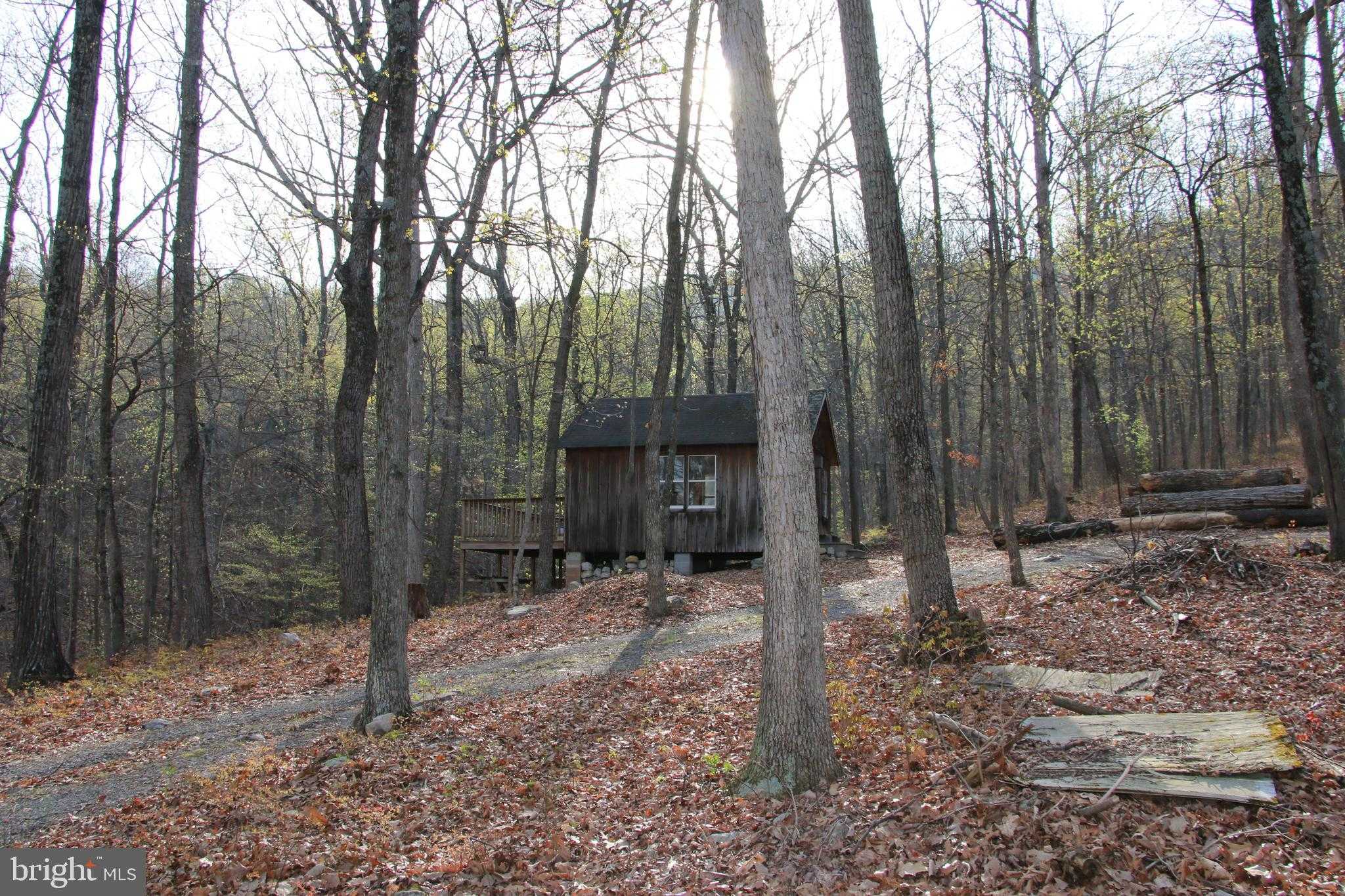 493 Shotgun Spring Rd photo 8