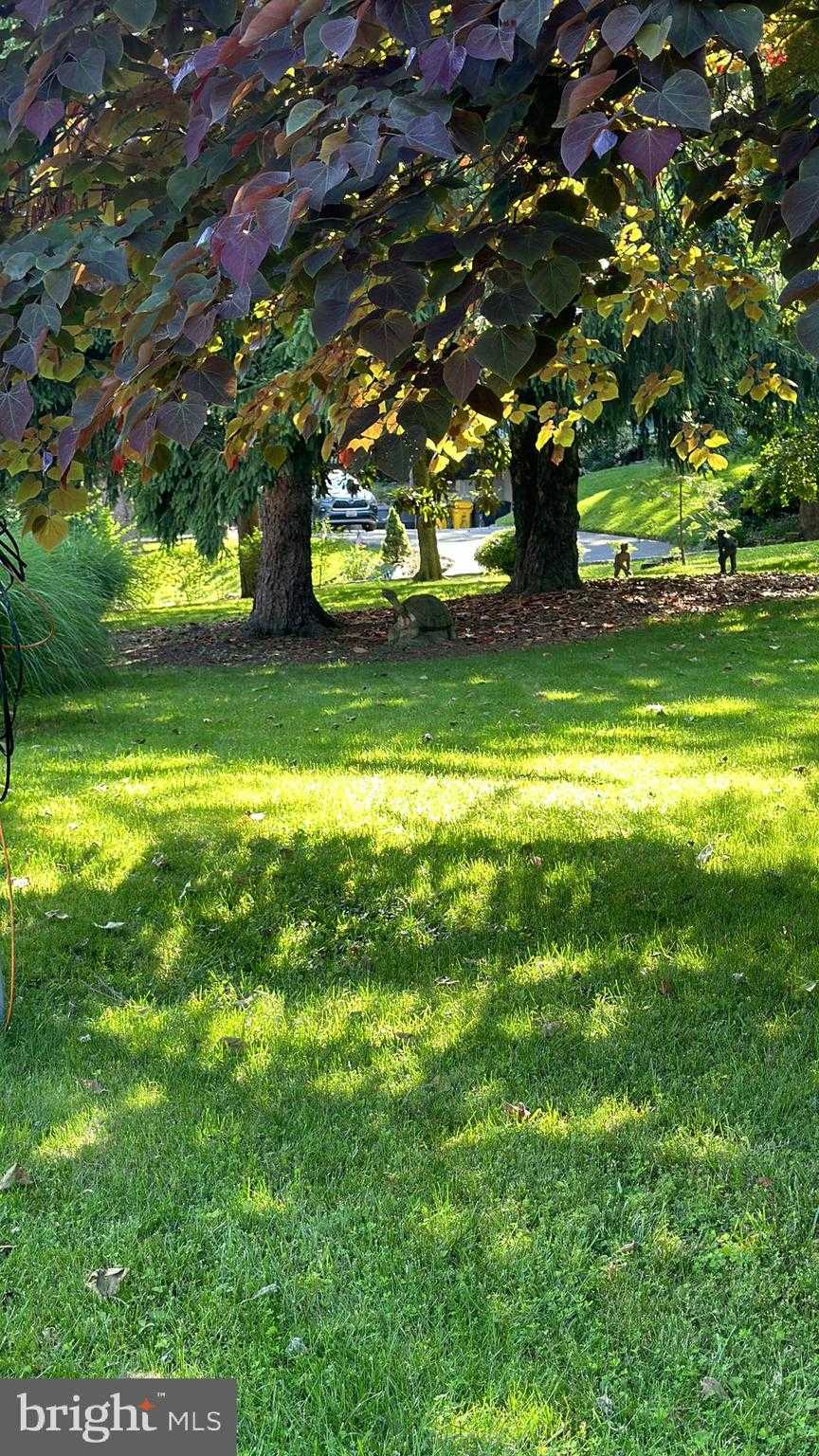 310 Epping Way photo 43