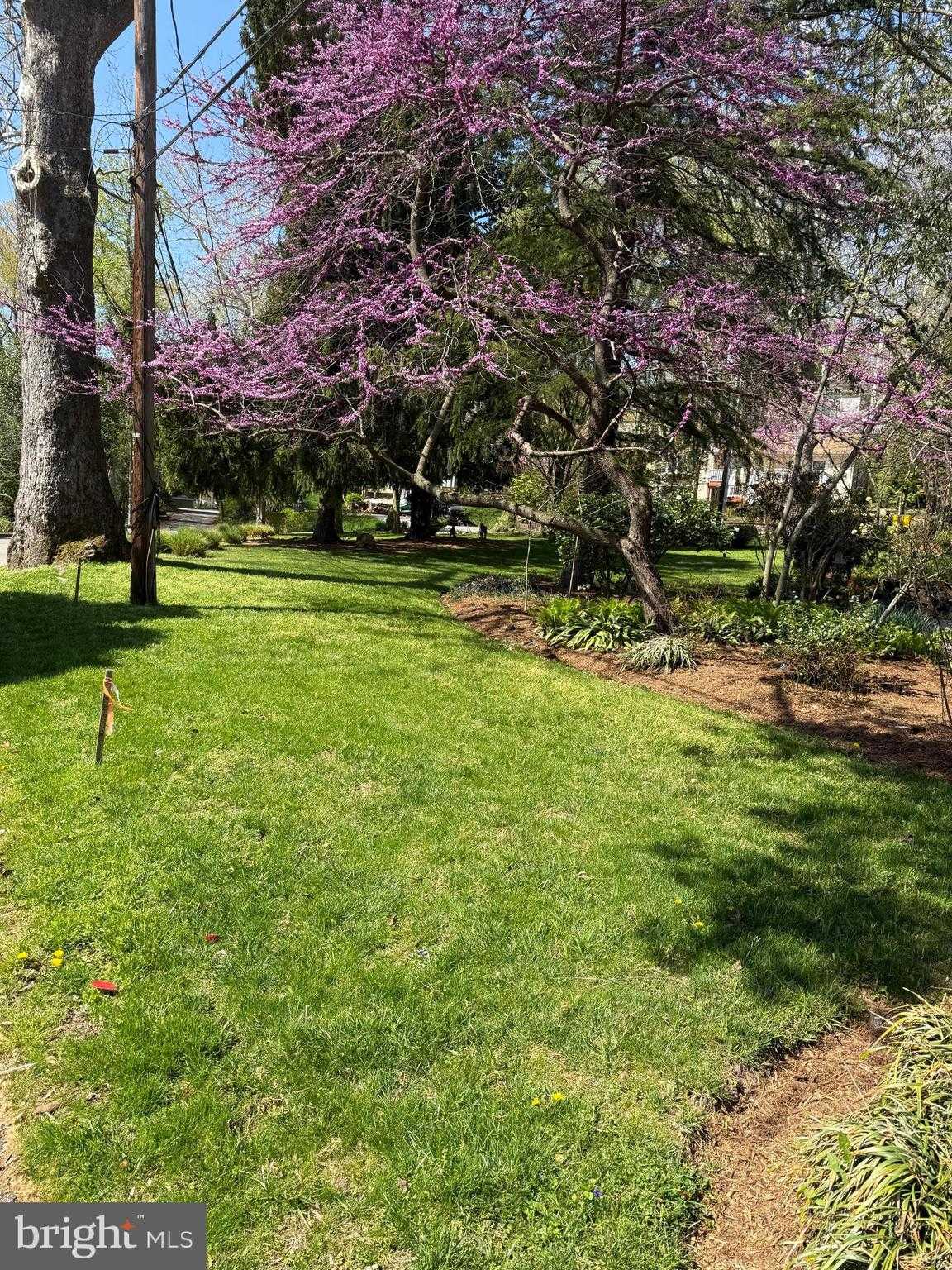 310 Epping Way photo 47