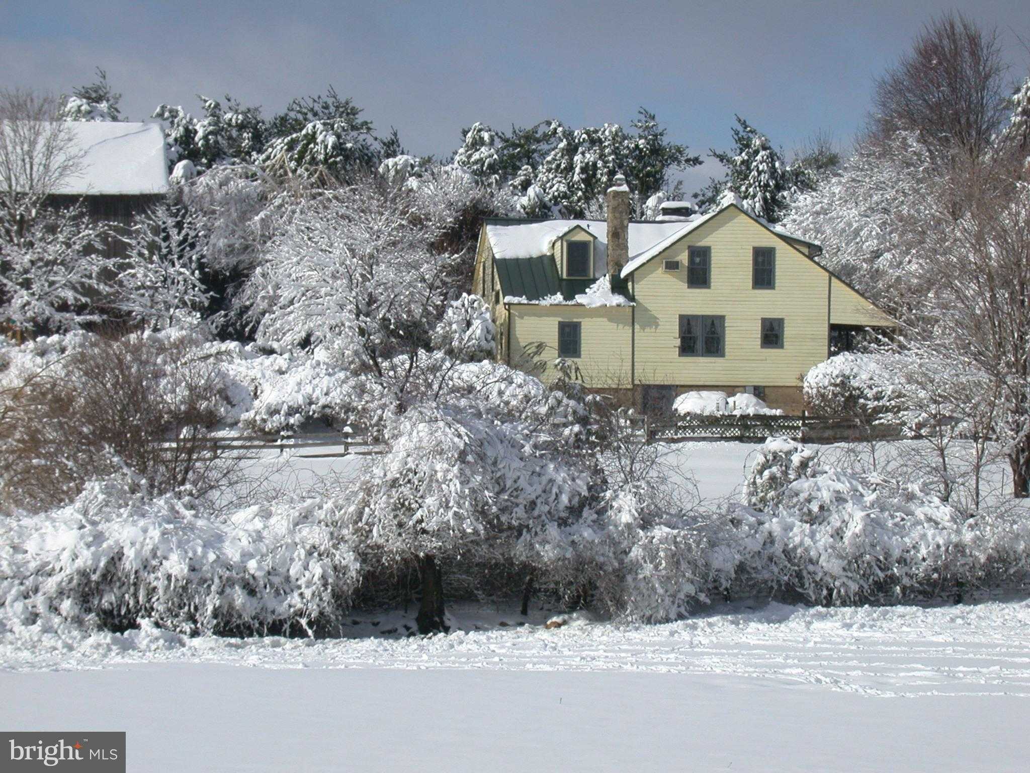 1095 Texter Mountain Rd photo 25