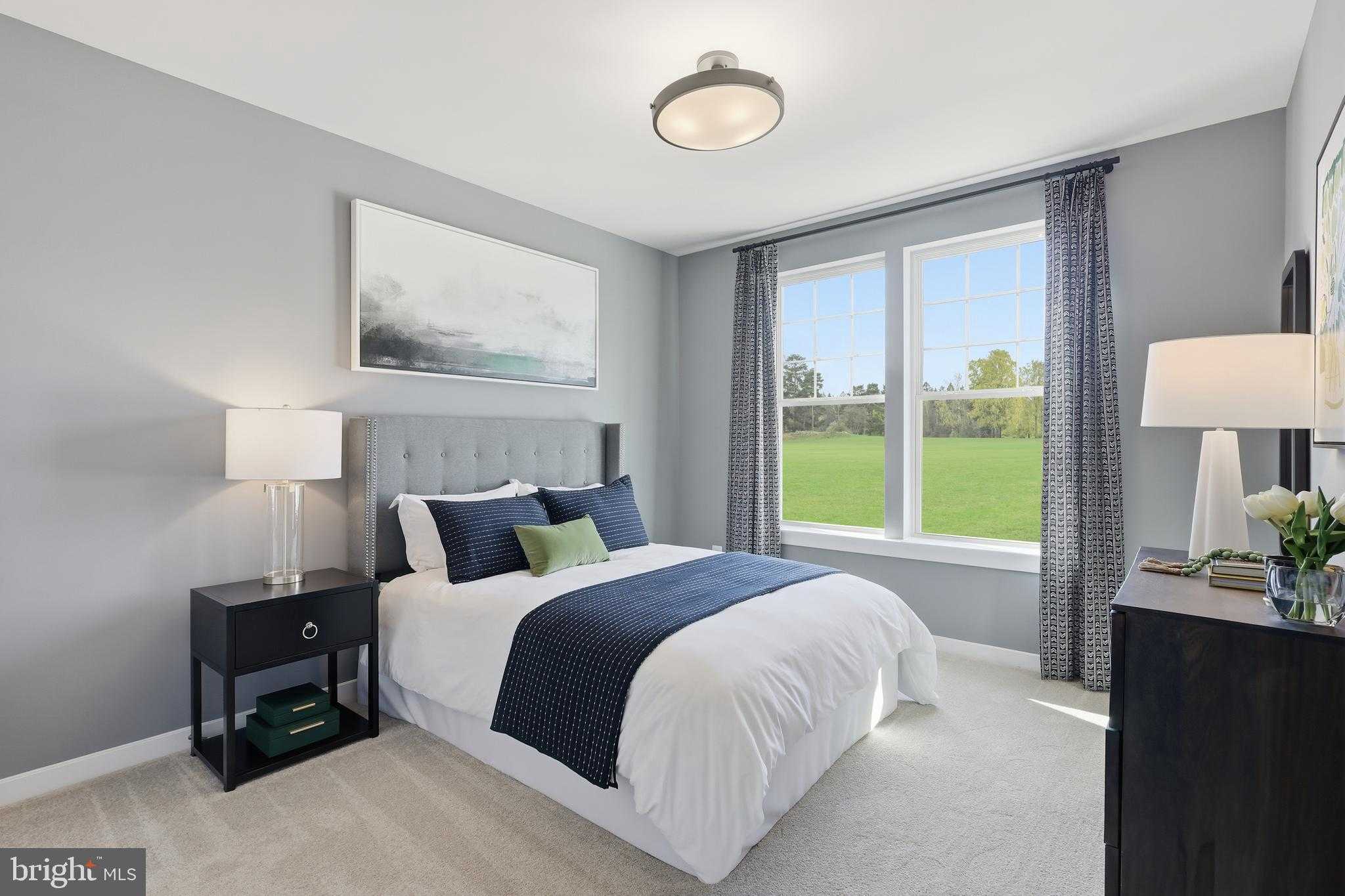 Williams Ct photo 21