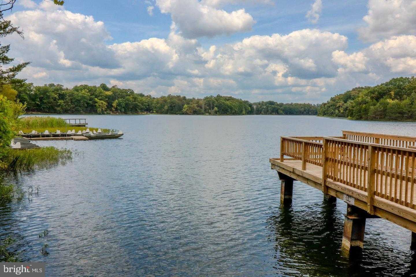 118 Twinleaf Way photo 44