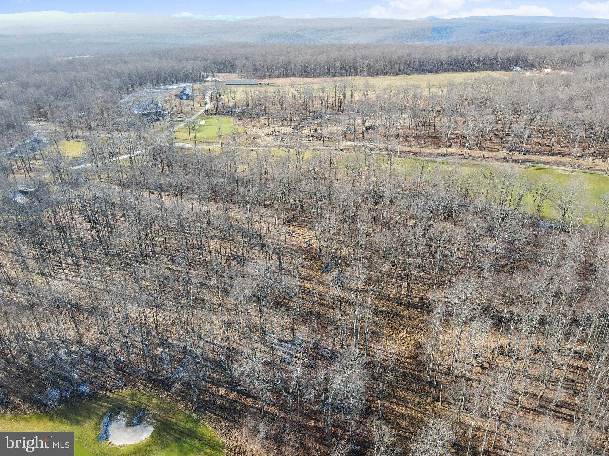 Green Jacket CT photo 24