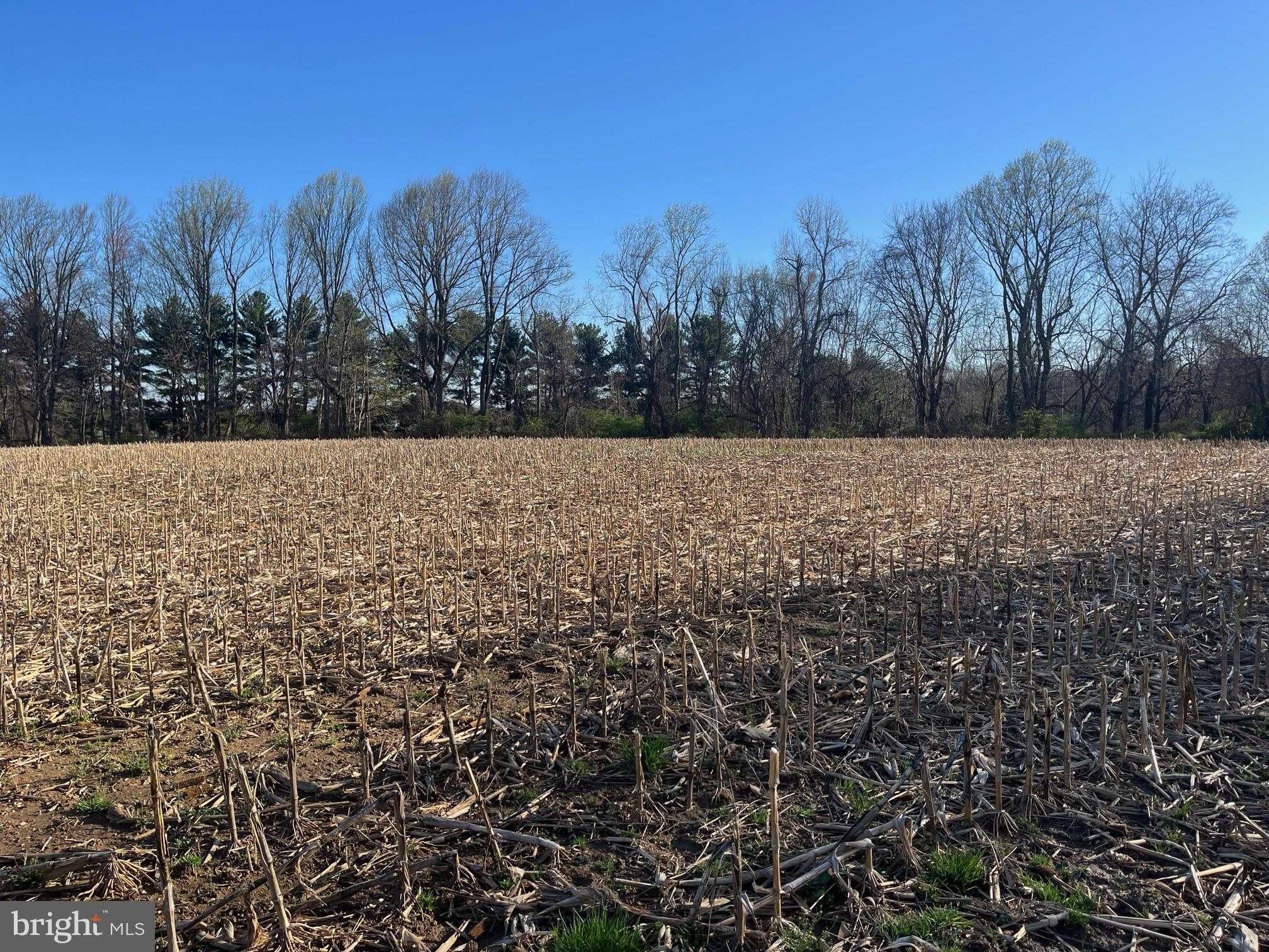 2130 Gap Newport Pike photo 24