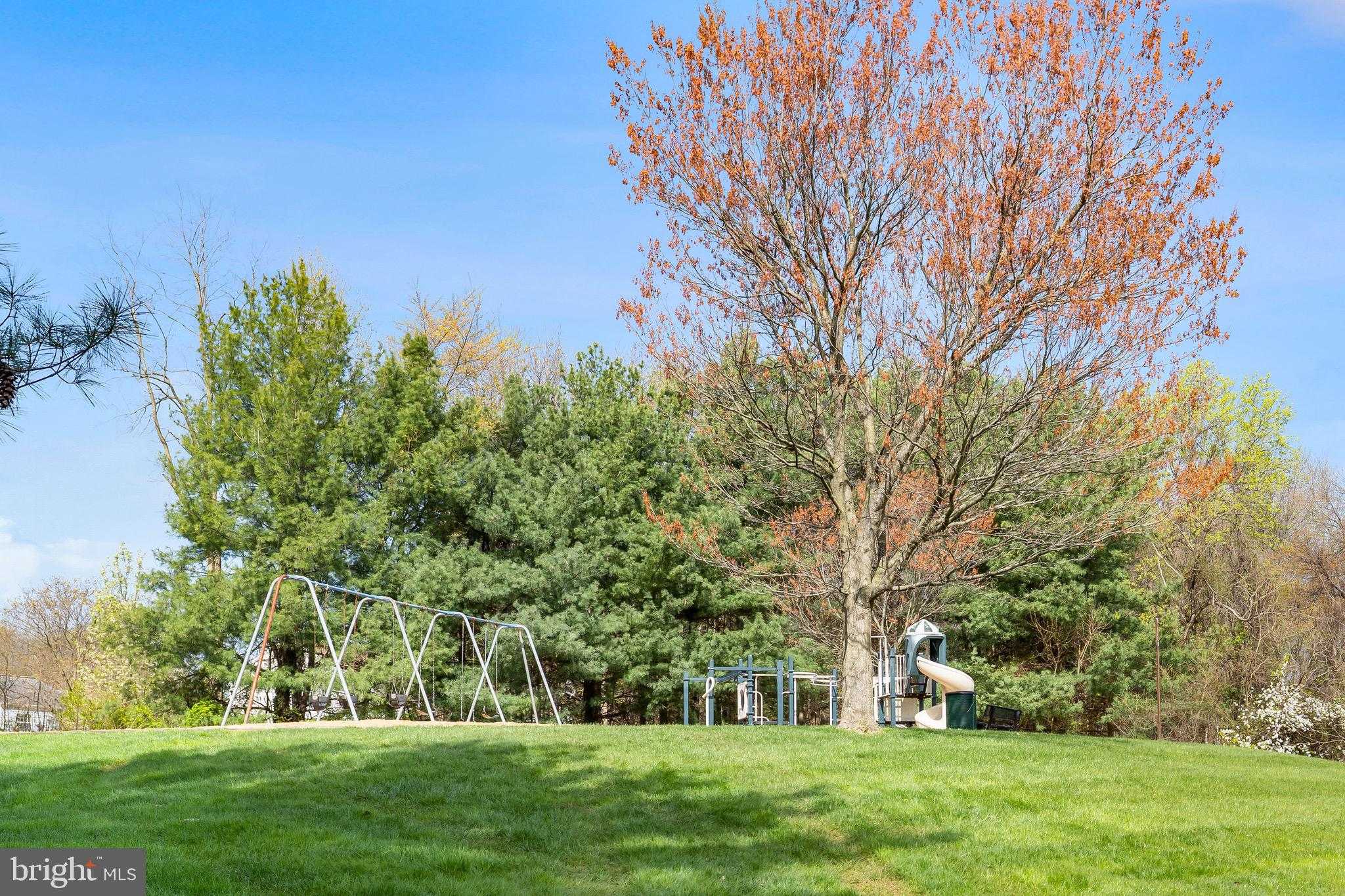 230 Canvasback Dr photo 27