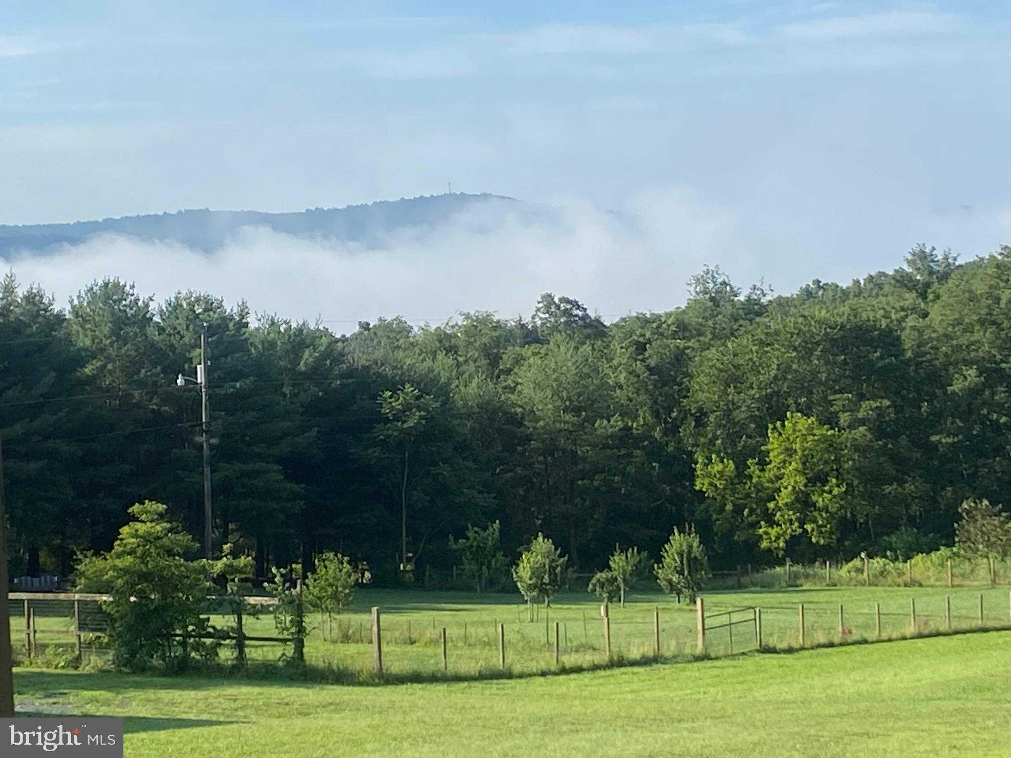 470 Brill Ln photo 115