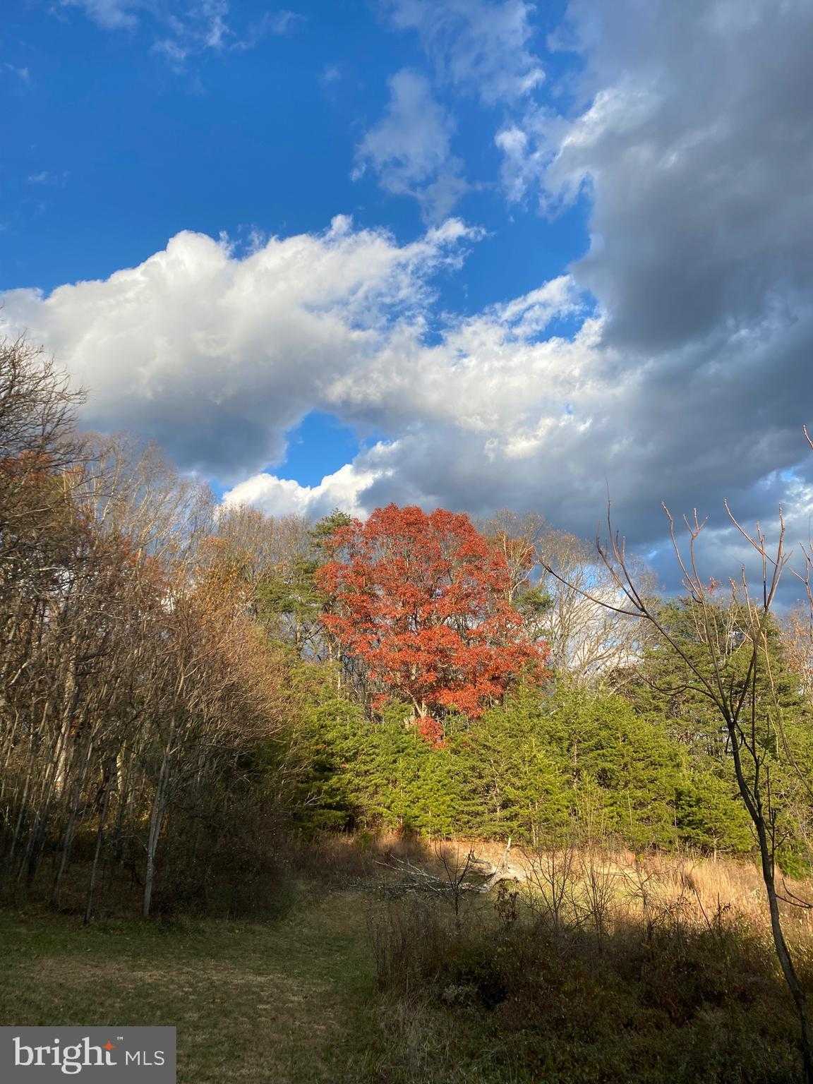 470 Brill Ln photo 98