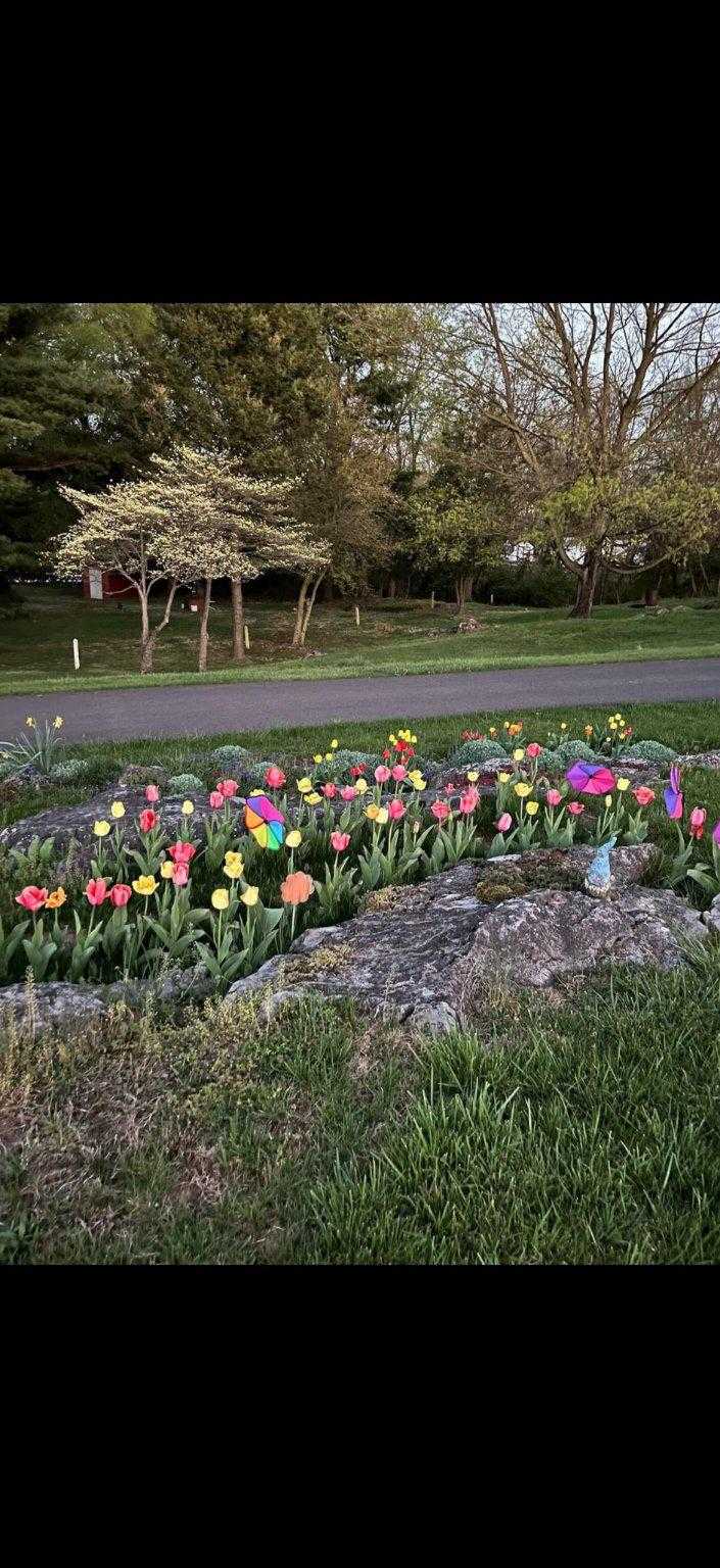 17035 Virginia Ave photo 8