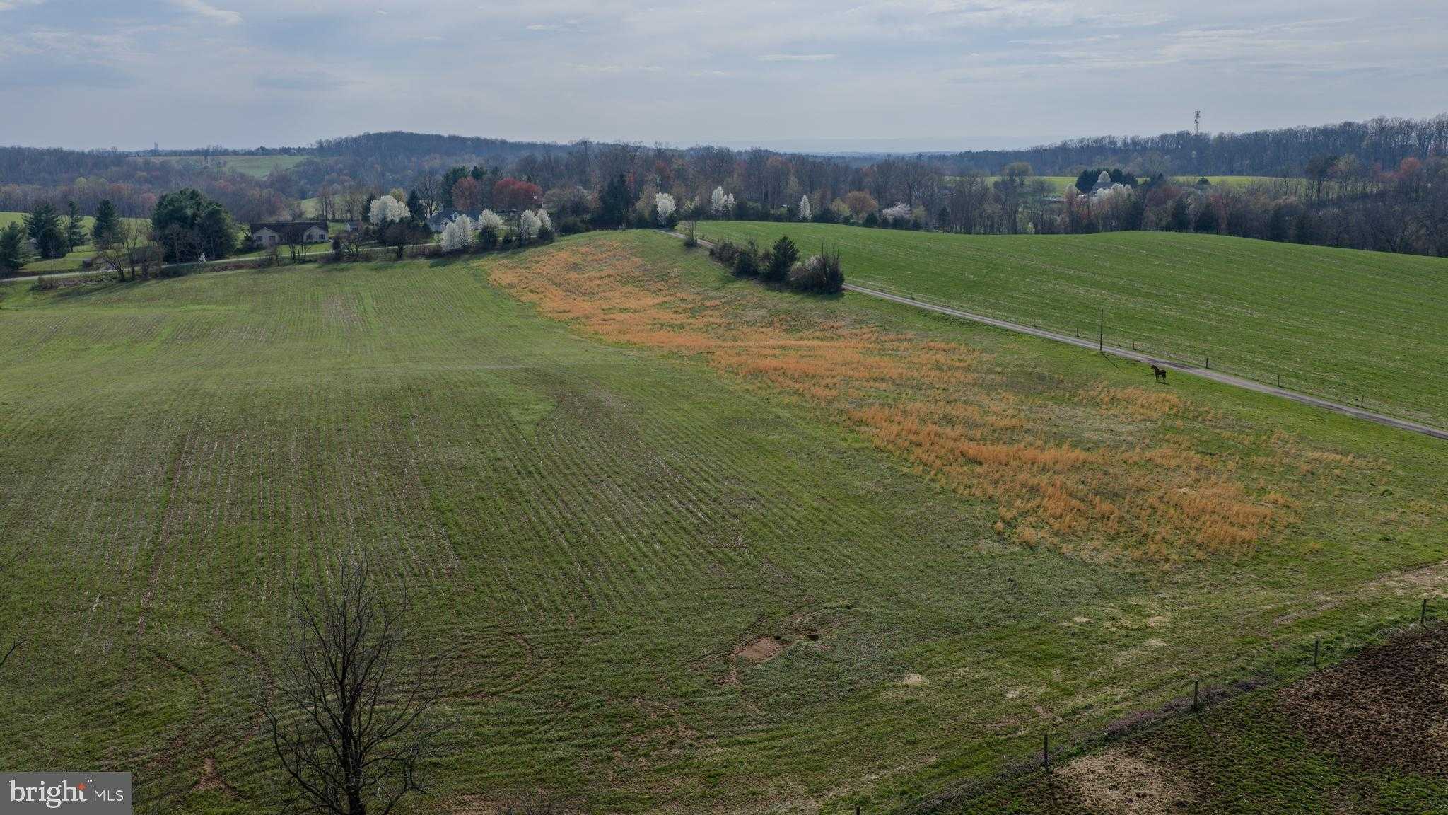 Brown Farm Remain Portion CROSS SECTION RD (NEAR 2341 CROSS SECTION RD)