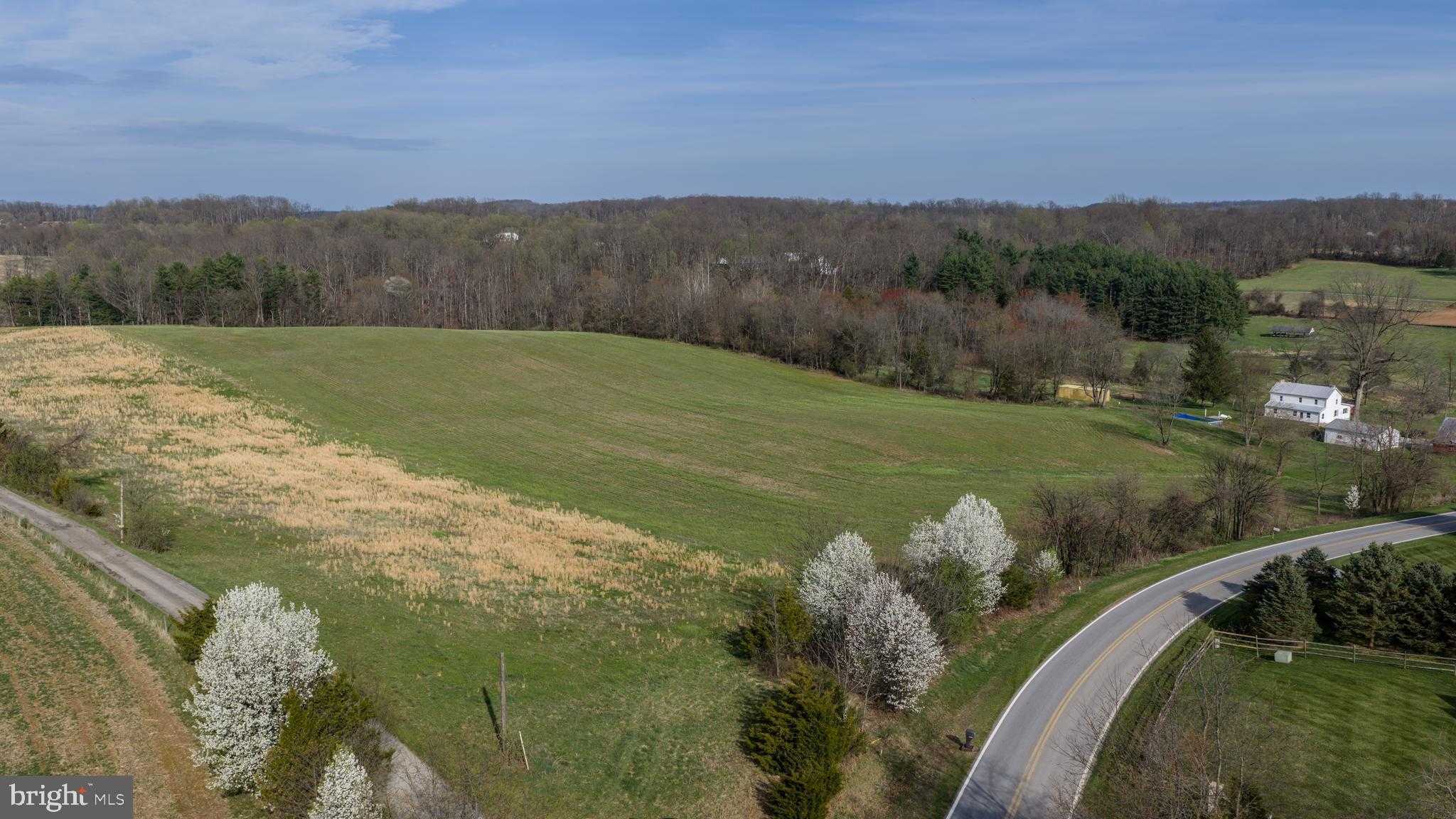 Brown Farm Remain Portion CROSS SECTION RD (NEAR 2341 CROSS SECTION RD) photo 4