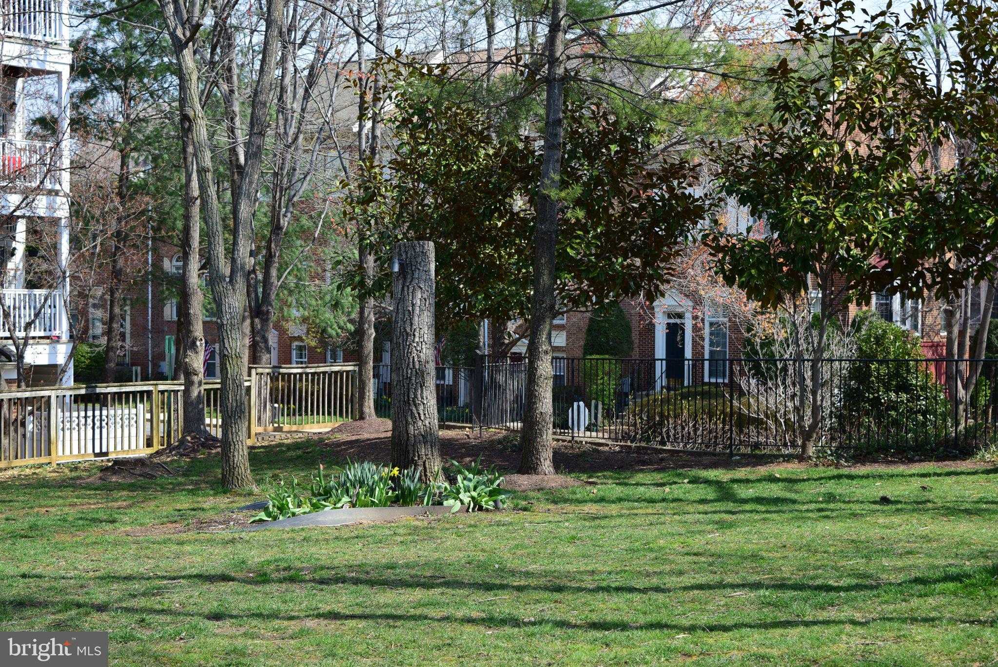 2412 Gretter Pl photo 34