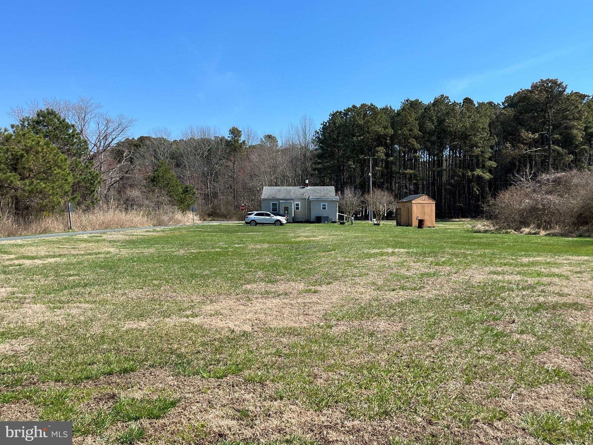 10762 Toddville Rd photo 3