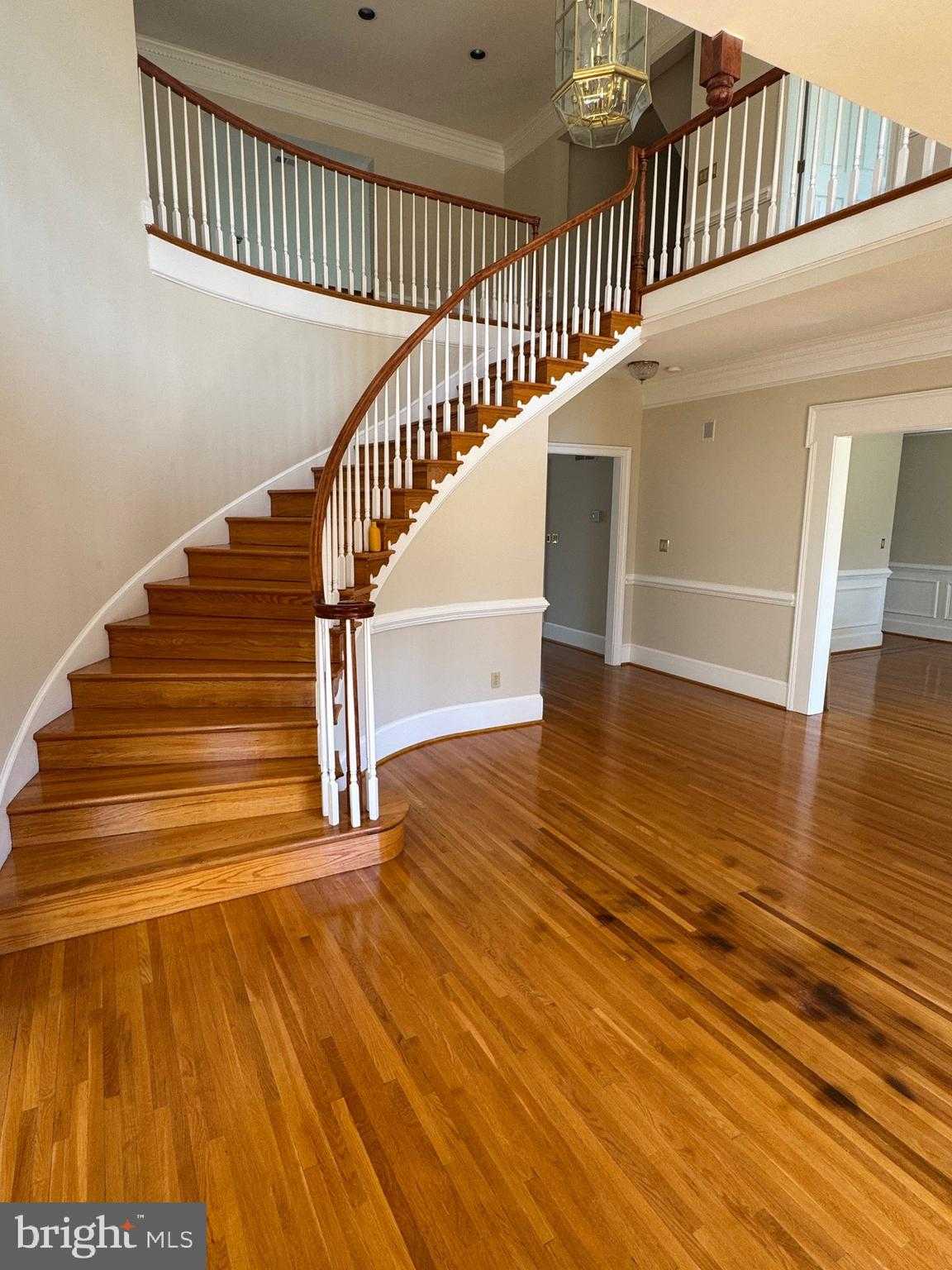 9409 Elizabeth CT photo 19