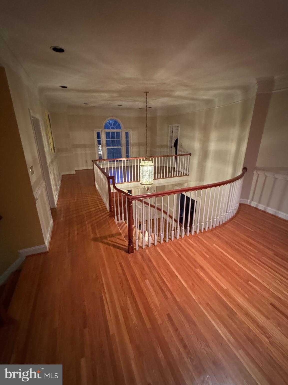 9409 Elizabeth CT photo 20