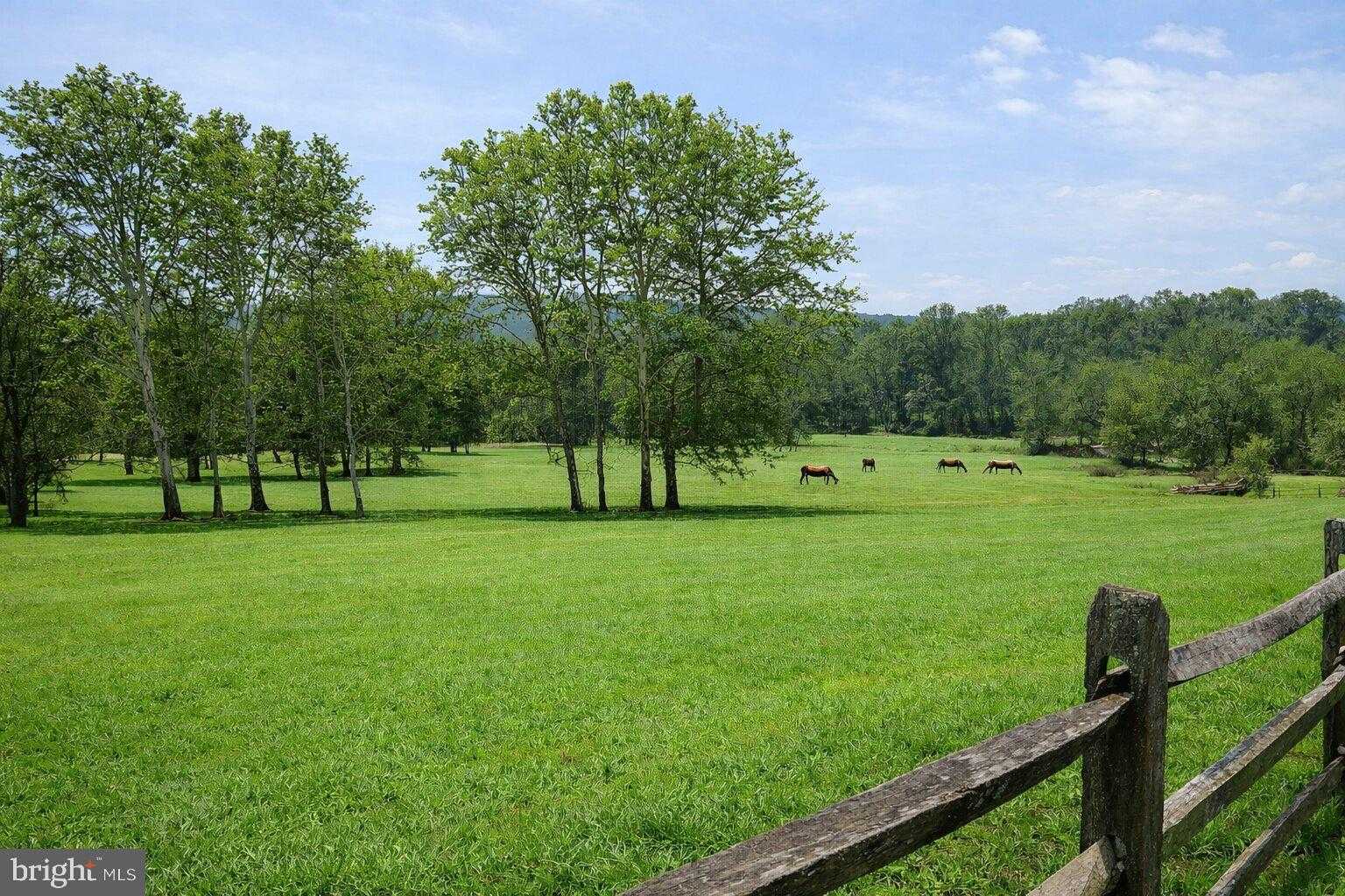 0 COBB HILL LANE photo 2