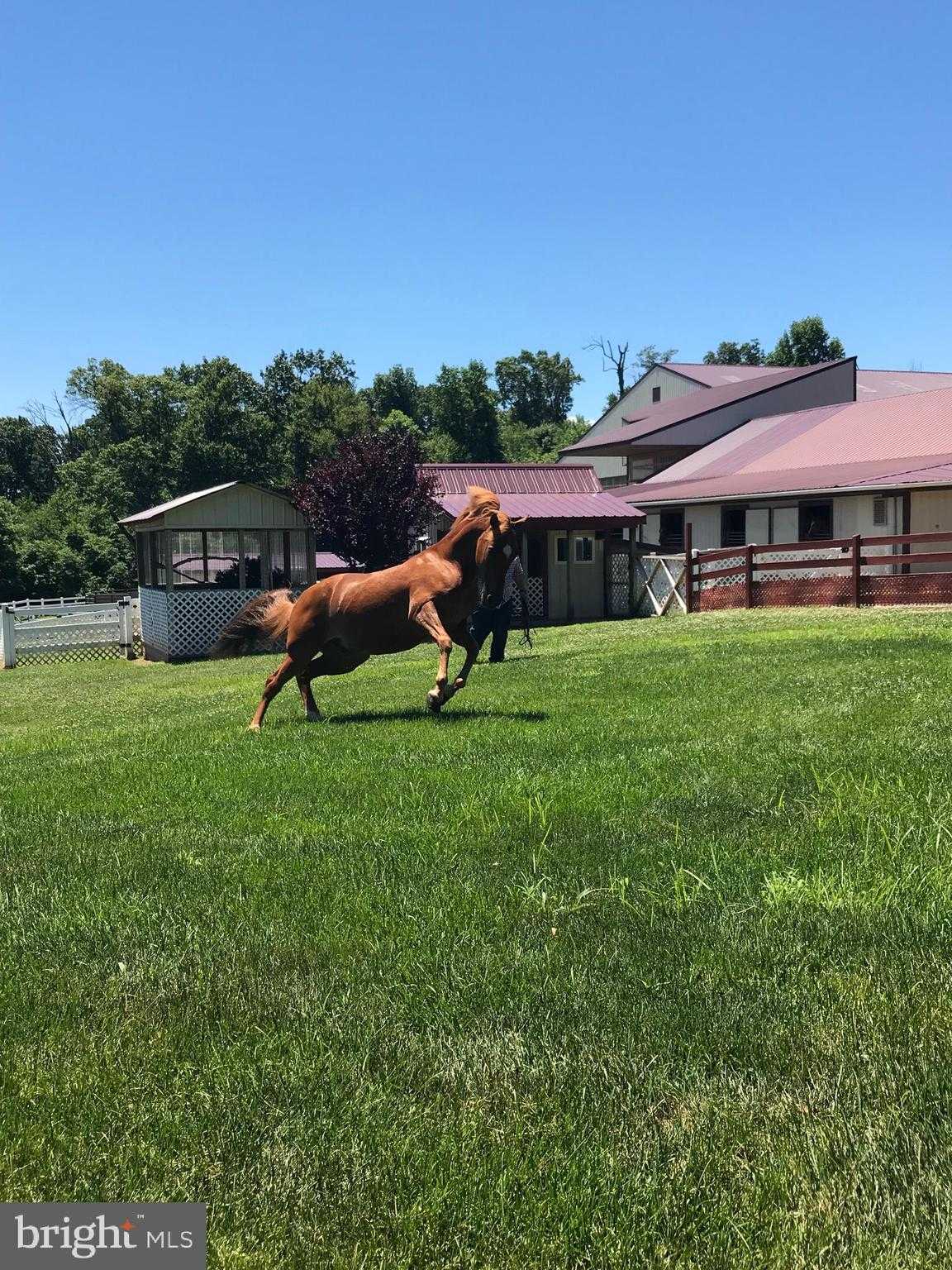 310 Mail Route Rd photo 41