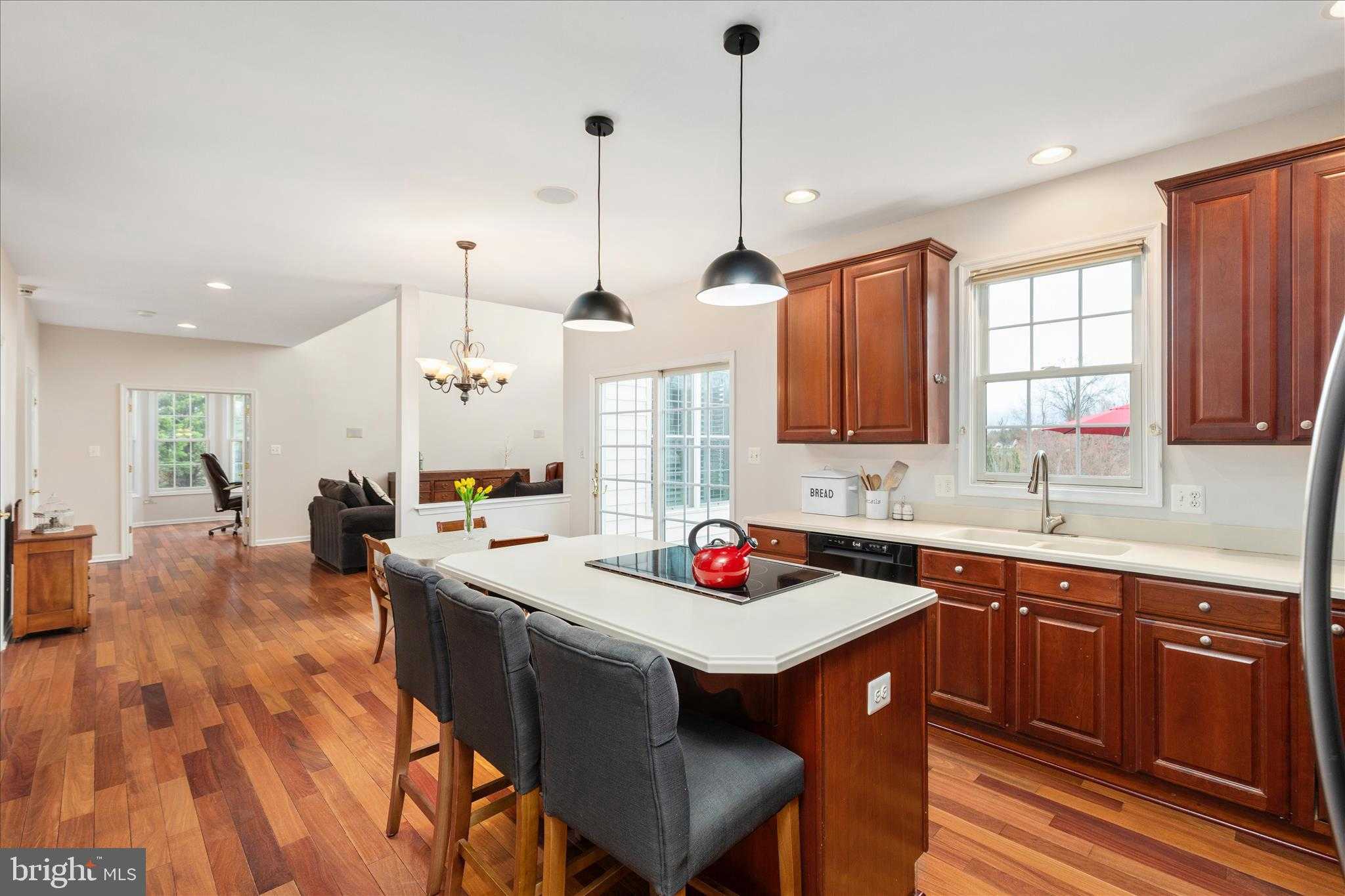 13642 Old Springhouse CT photo 17