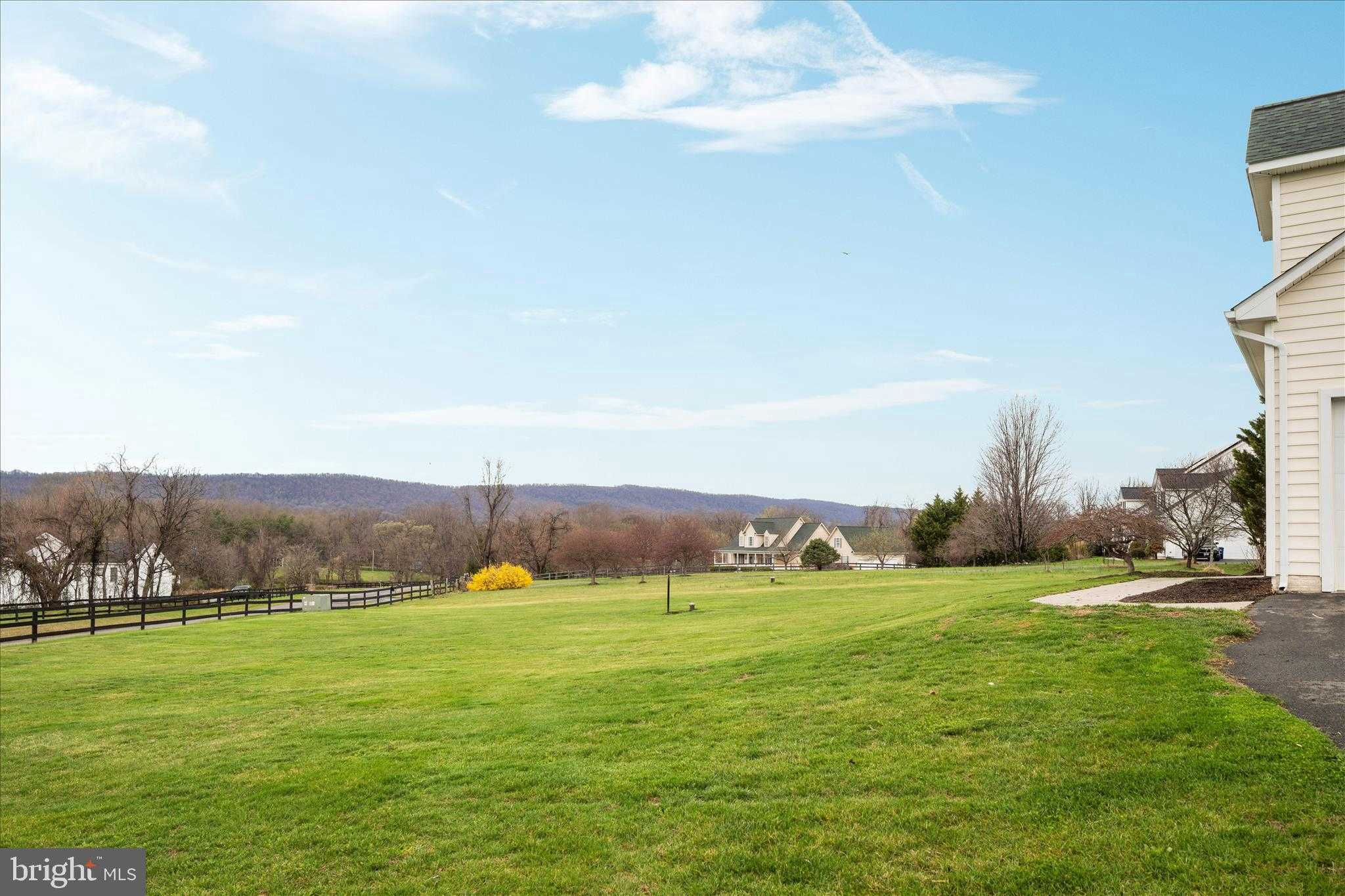 13642 Old Springhouse CT photo 45